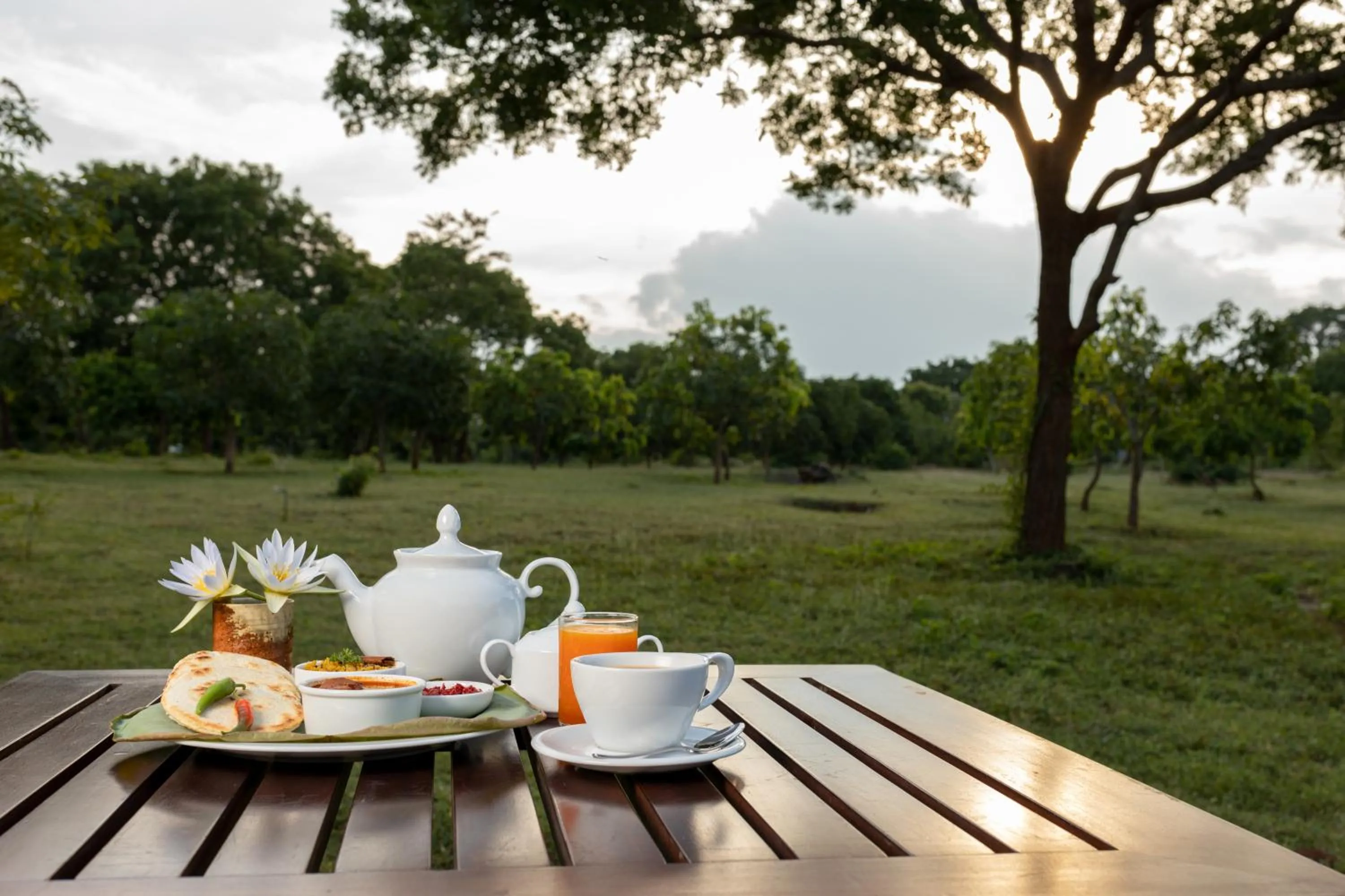 Restaurant/places to eat in Koragaha Lodge - Yala