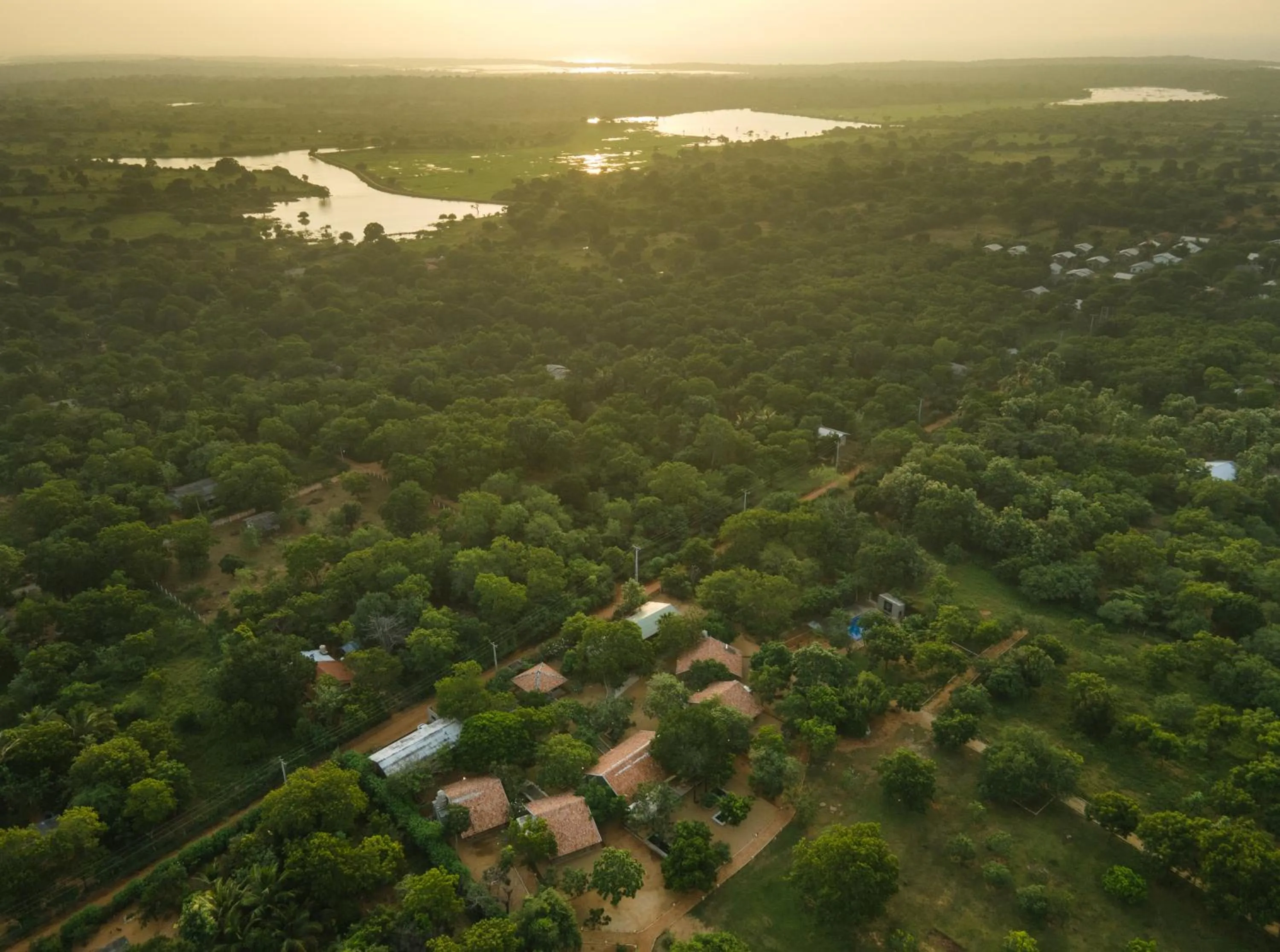 Bird's eye view in Koragaha Lodge - Yala