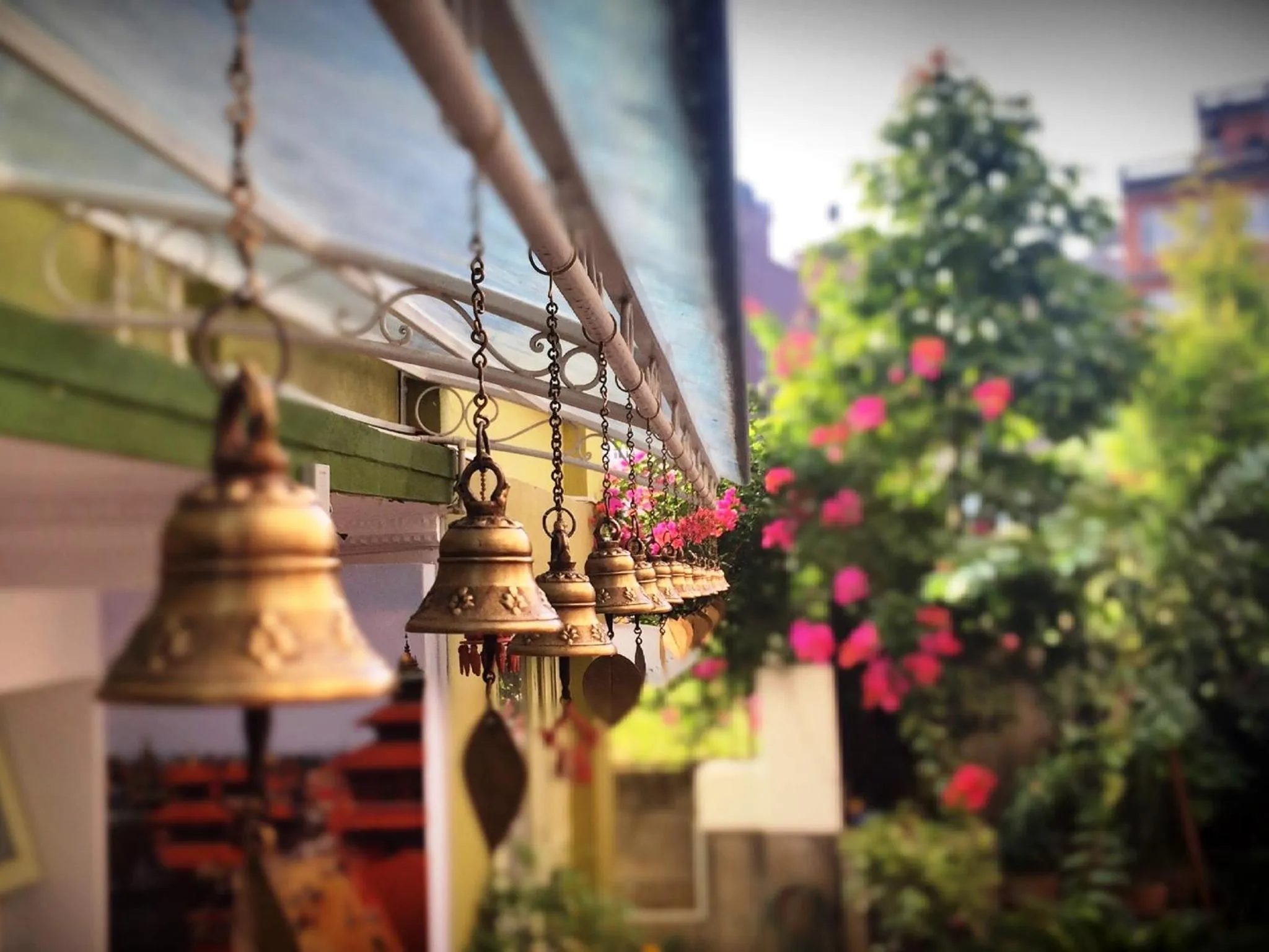 Garden in Shakya House