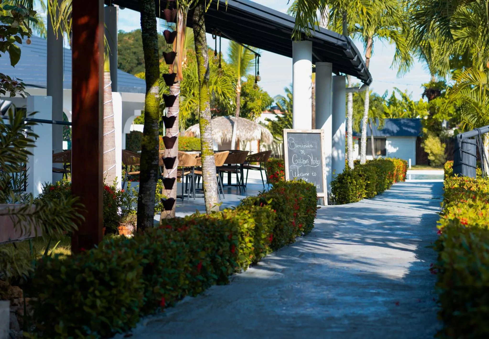 Garden view in El Colibri Hotel