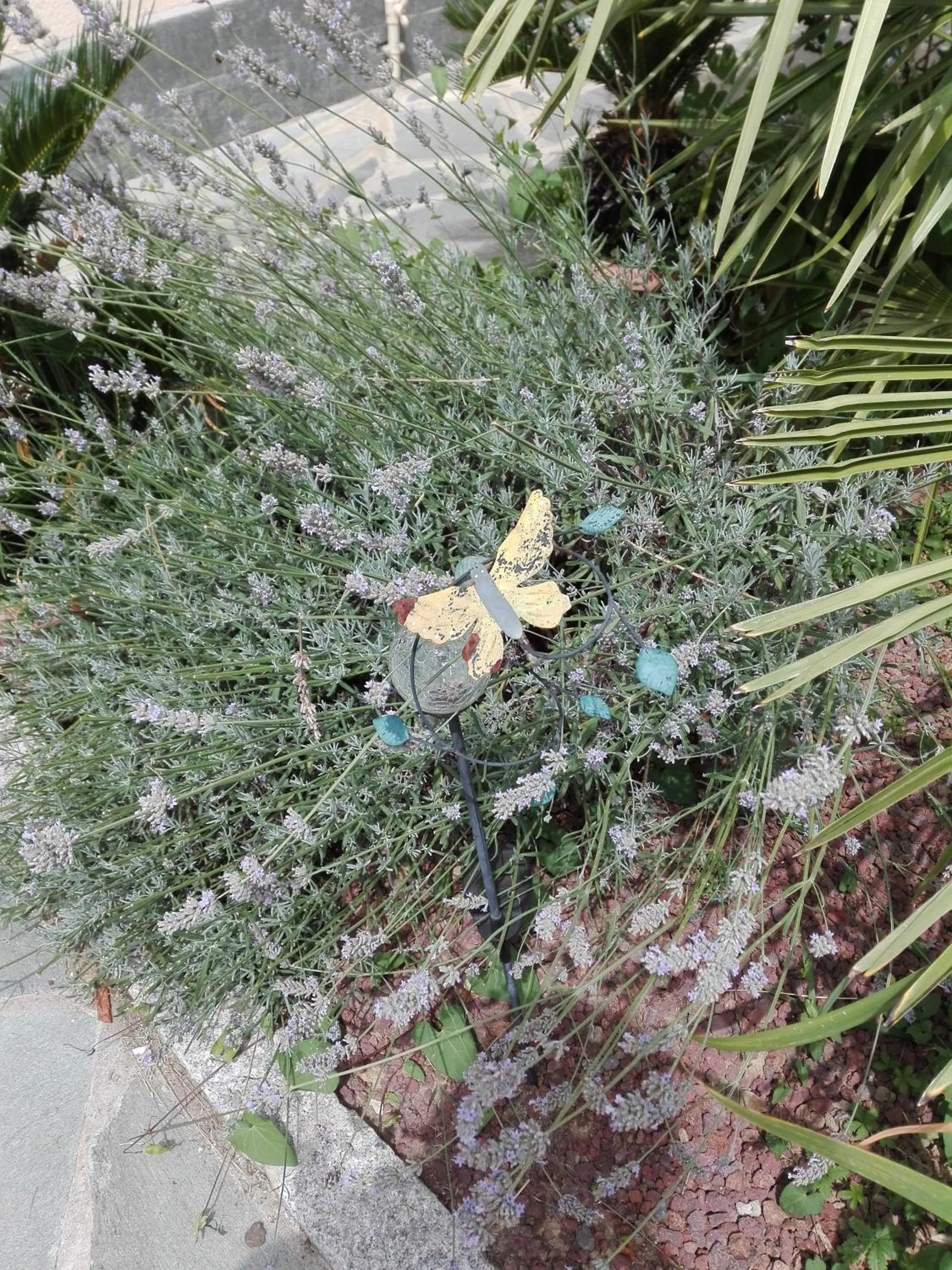 Floor plan in B & B Ametista Bergamo