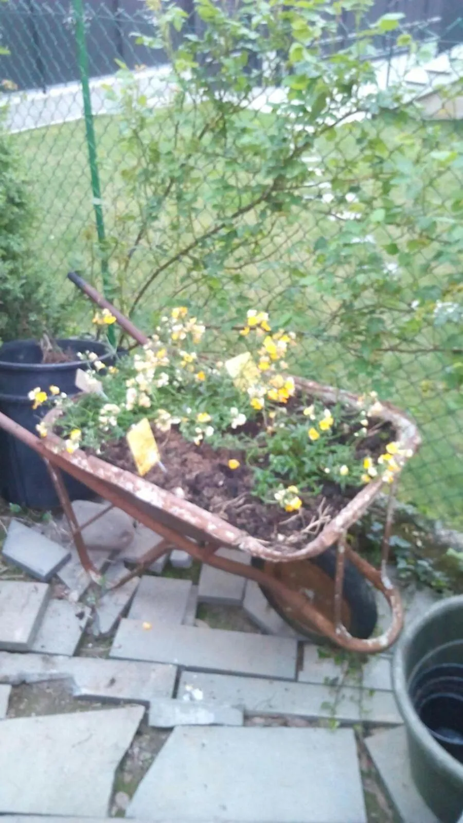 Garden in B & B Ametista Bergamo