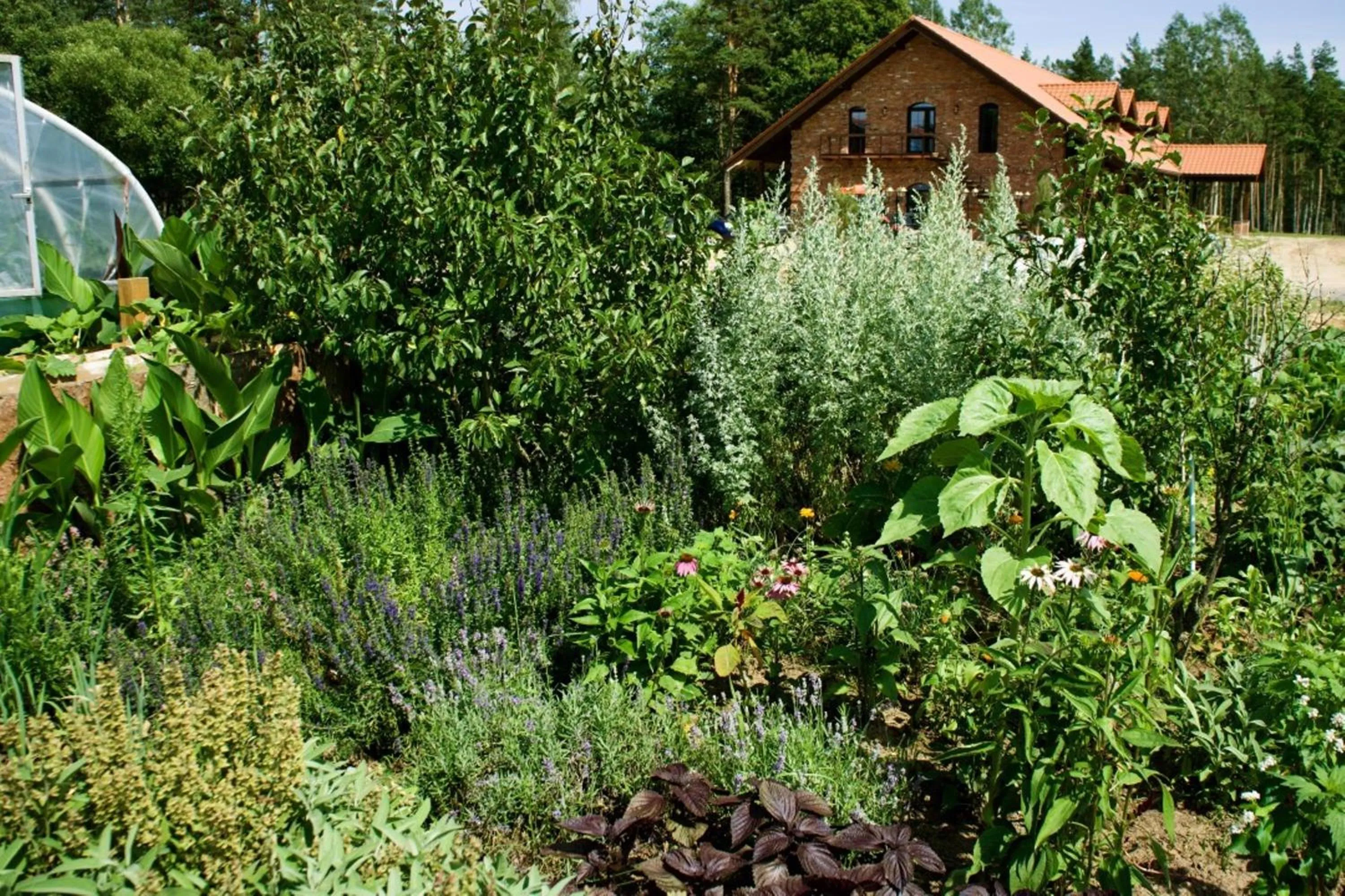 Day in Dzūkijos dvaras