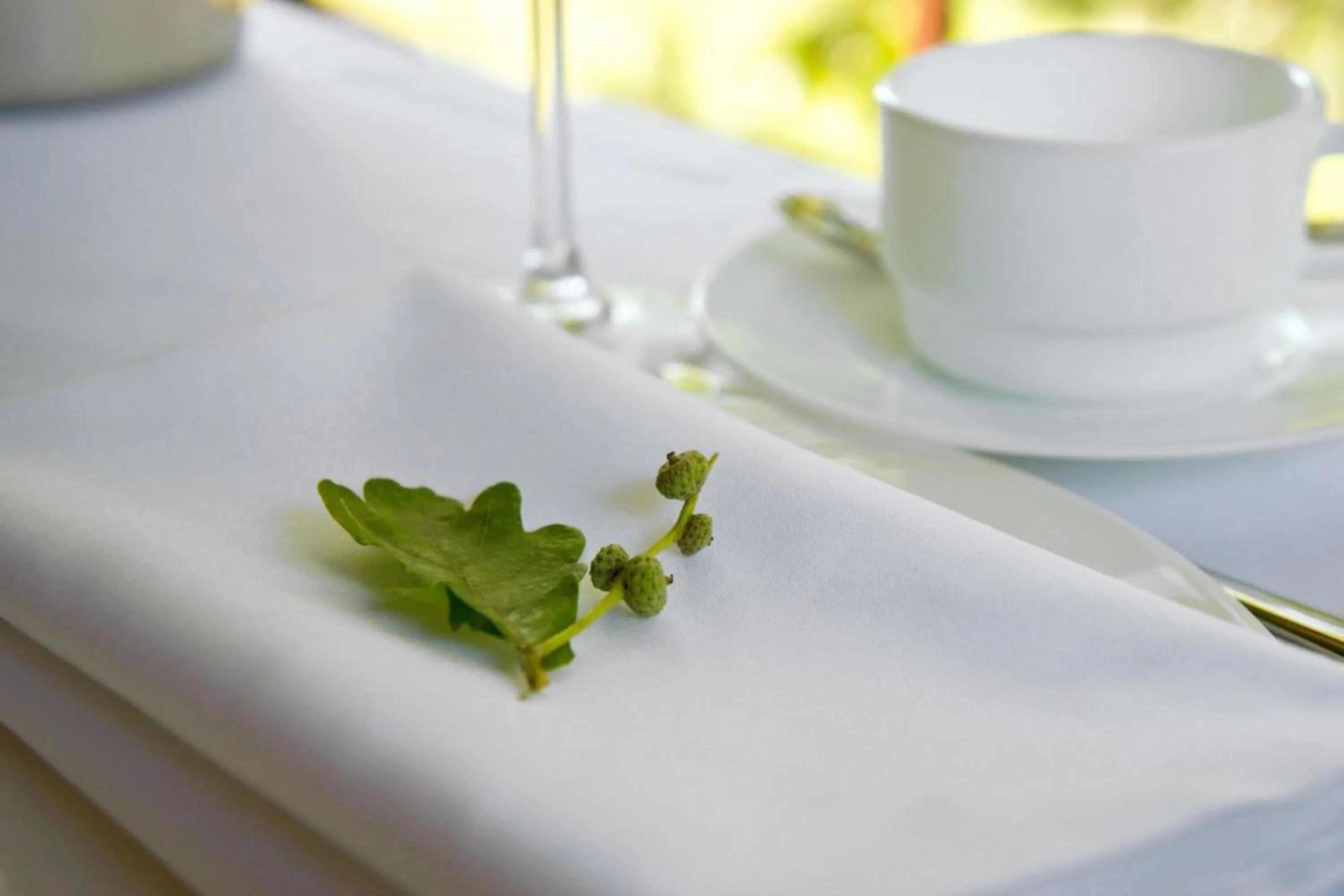 Restaurant/places to eat in Dzūkijos dvaras