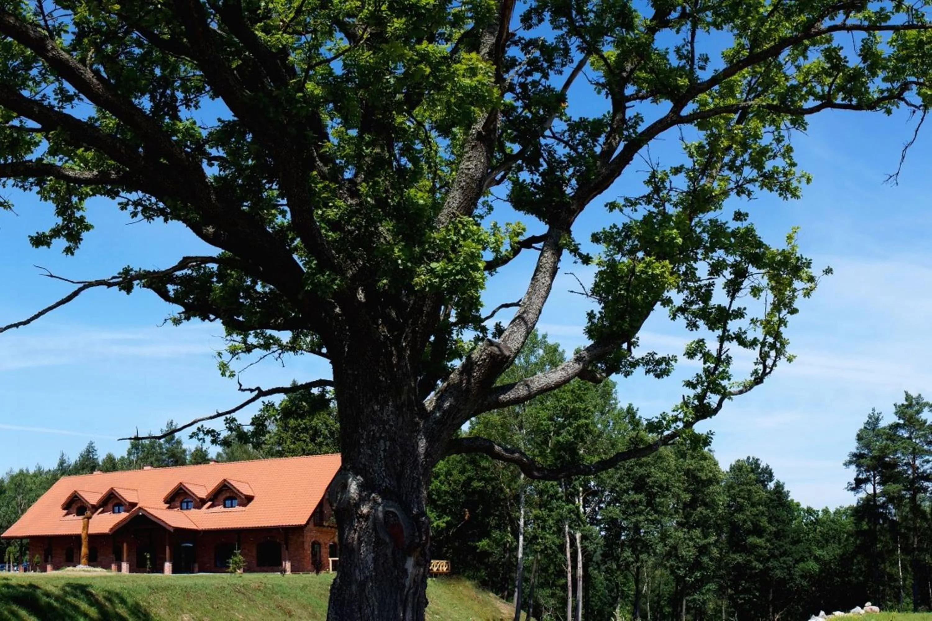 Property building in Dzūkijos dvaras