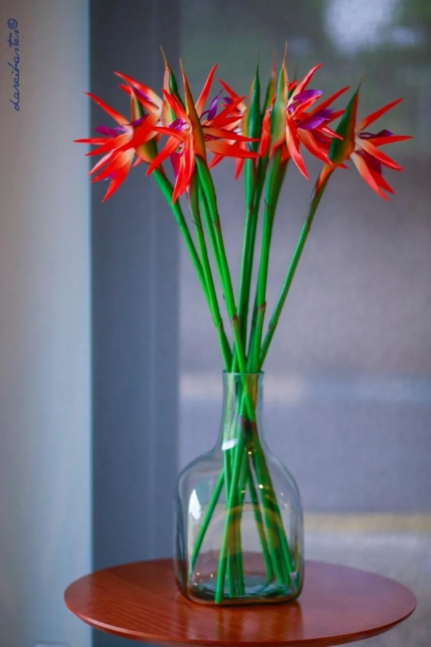 Decorative detail in Portofino Hotel Prime