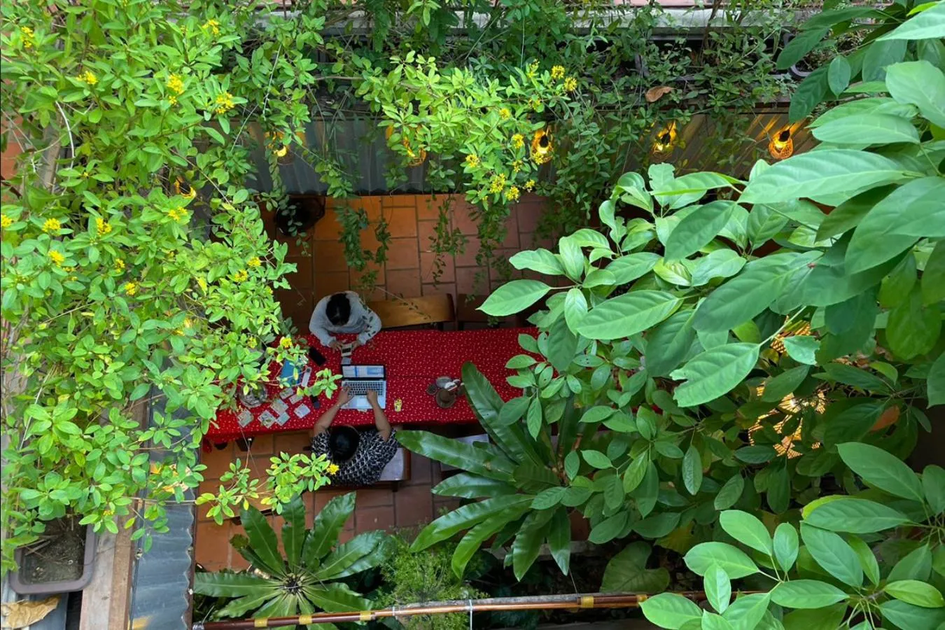 Patio in 5 homestay 1