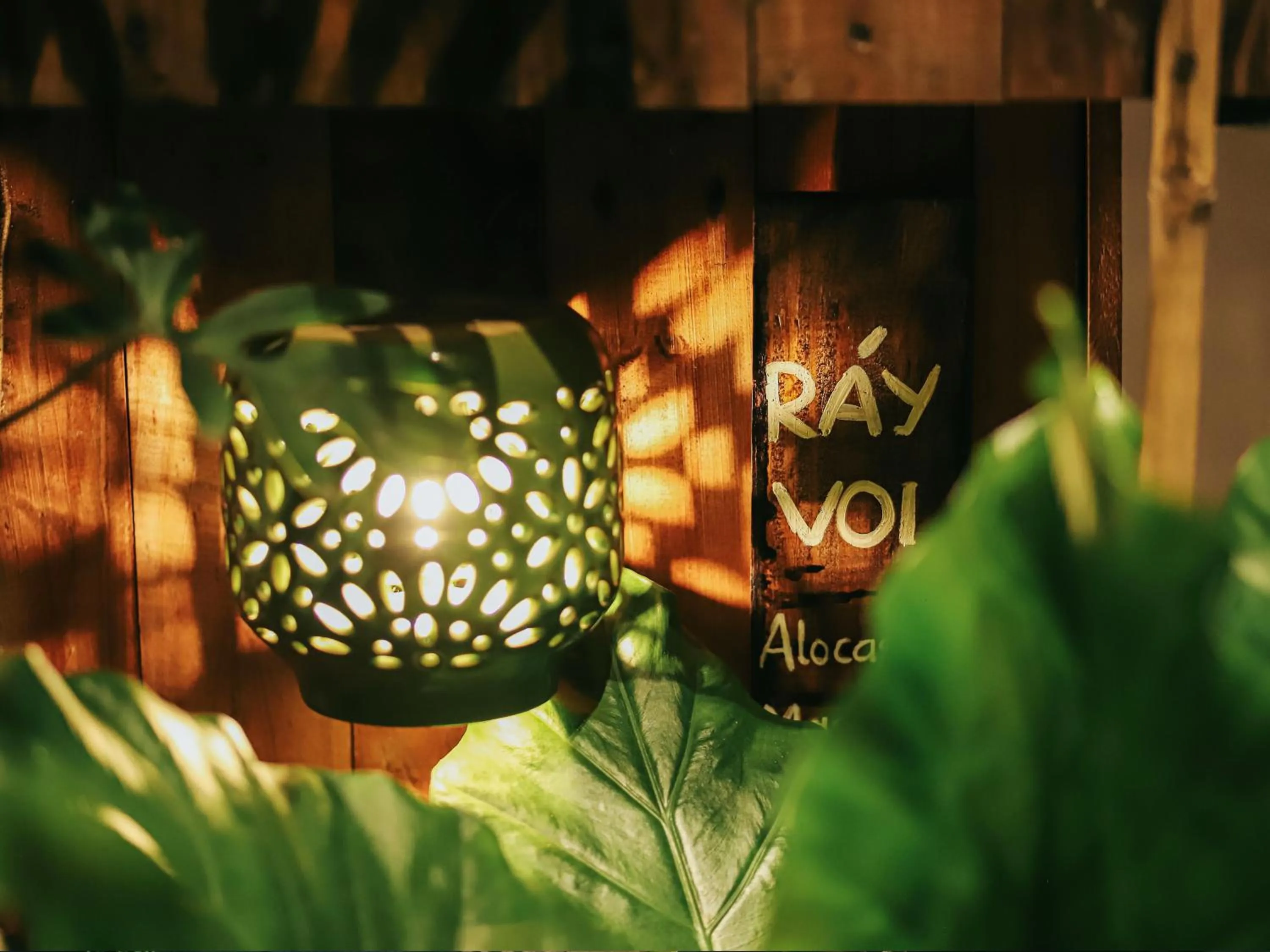 Patio in 5 homestay 1