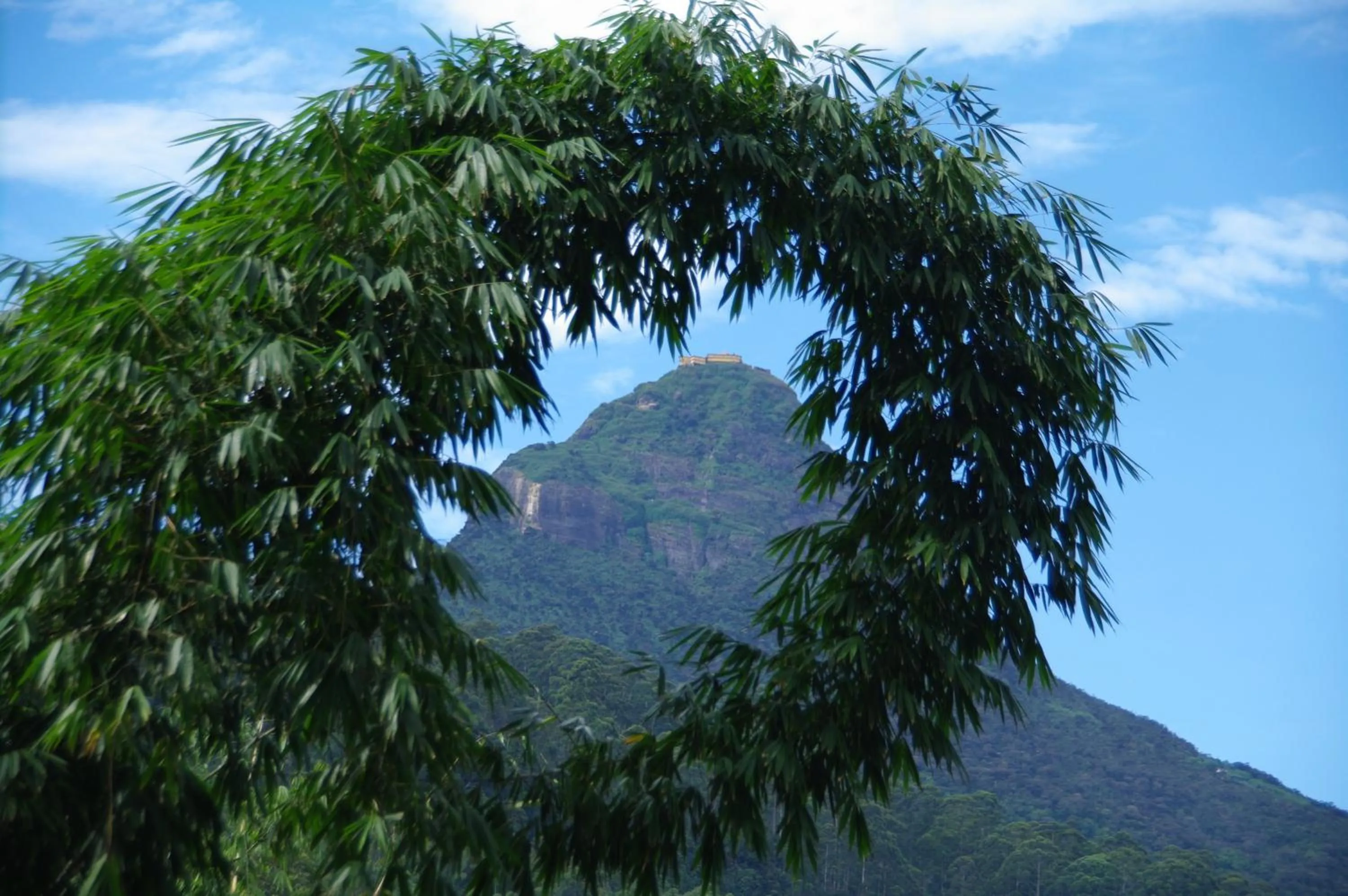 Mountain view in Daddy's Guest