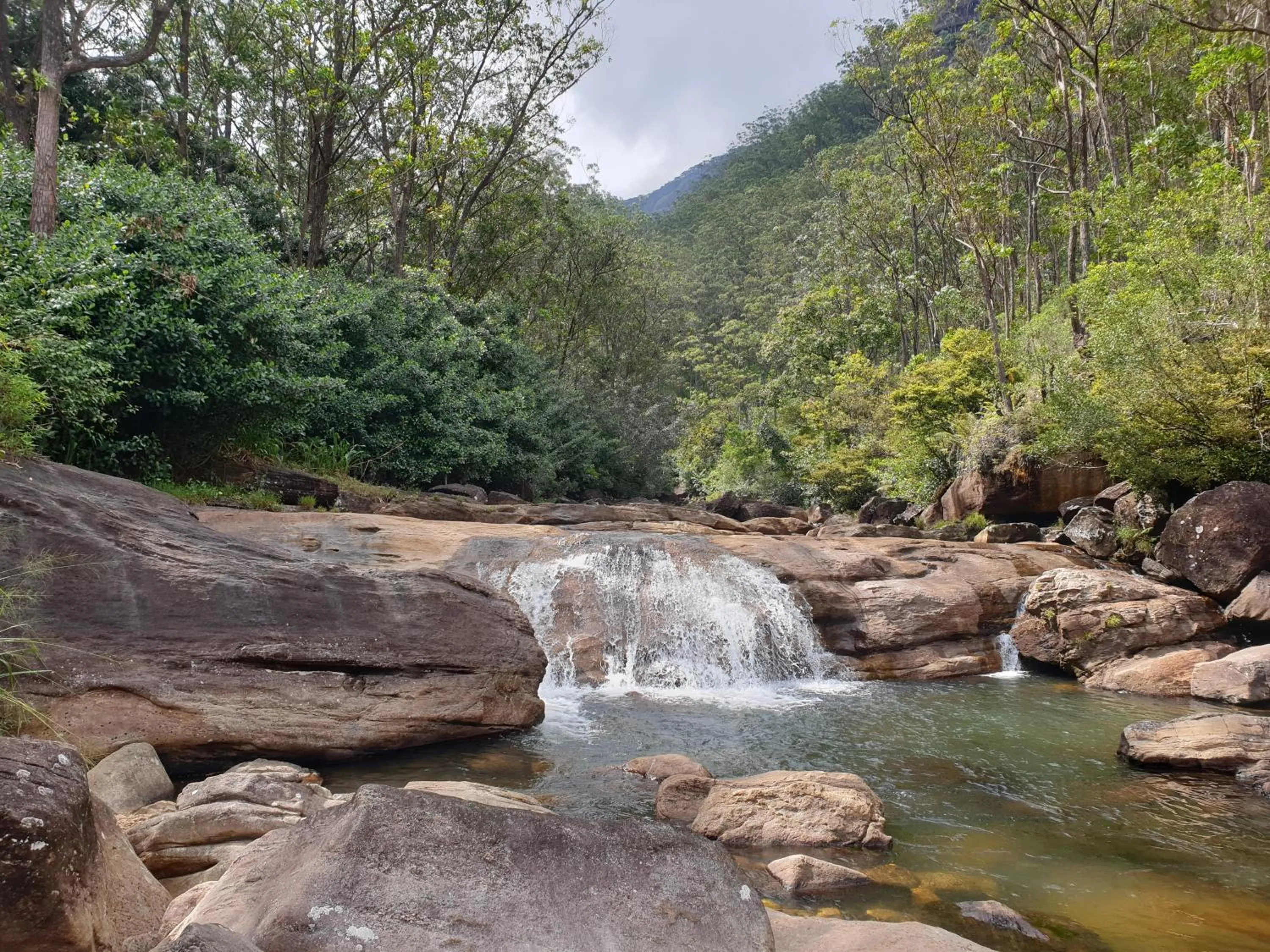 Natural landscape in Daddy's Guest