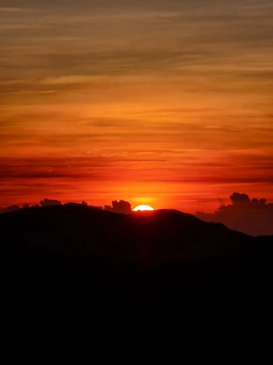 Sunrise in Daddy's Guest