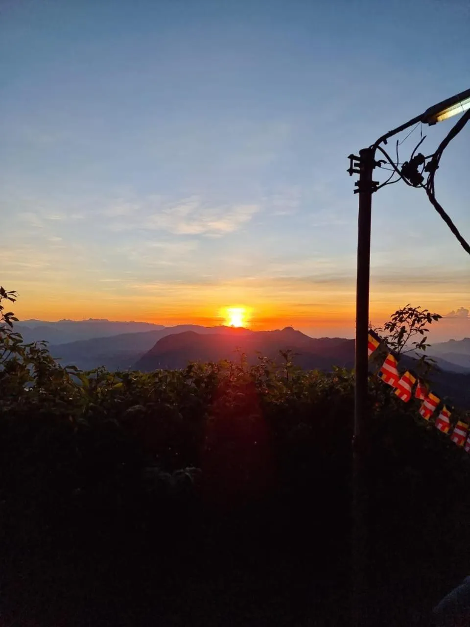 Sunrise in Daddy's Guest