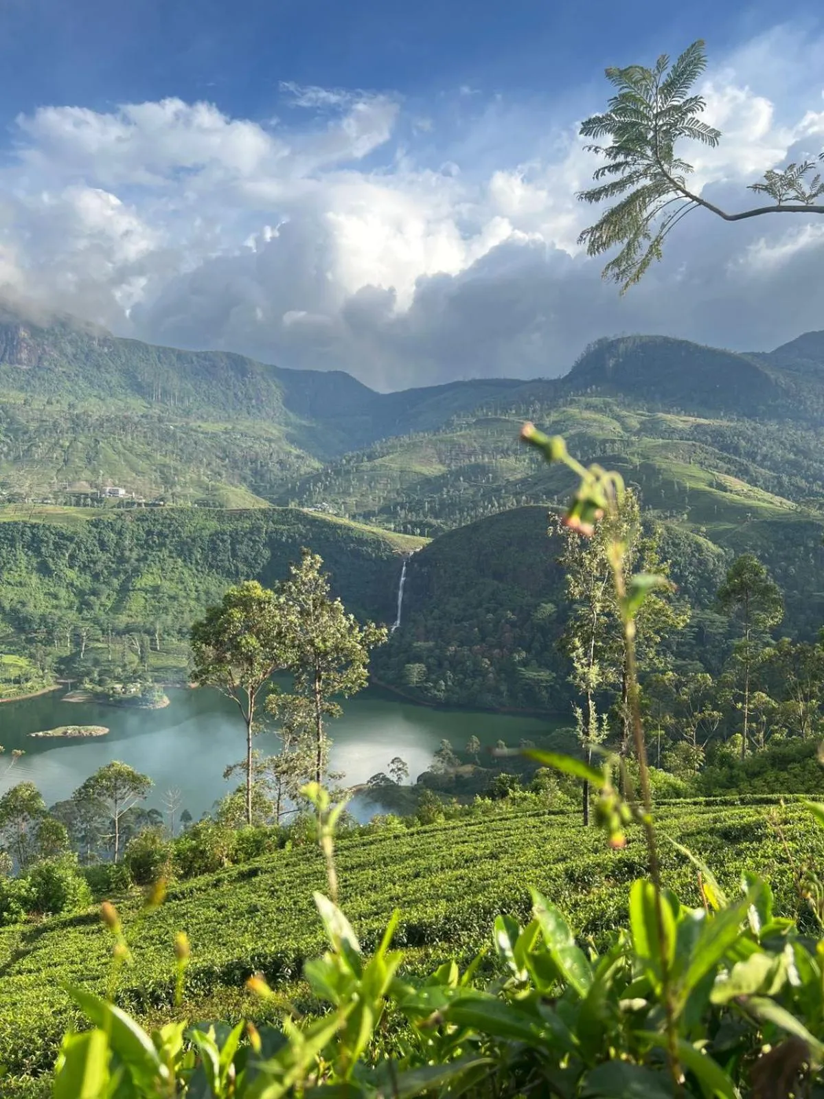 Natural landscape in Daddy's Guest