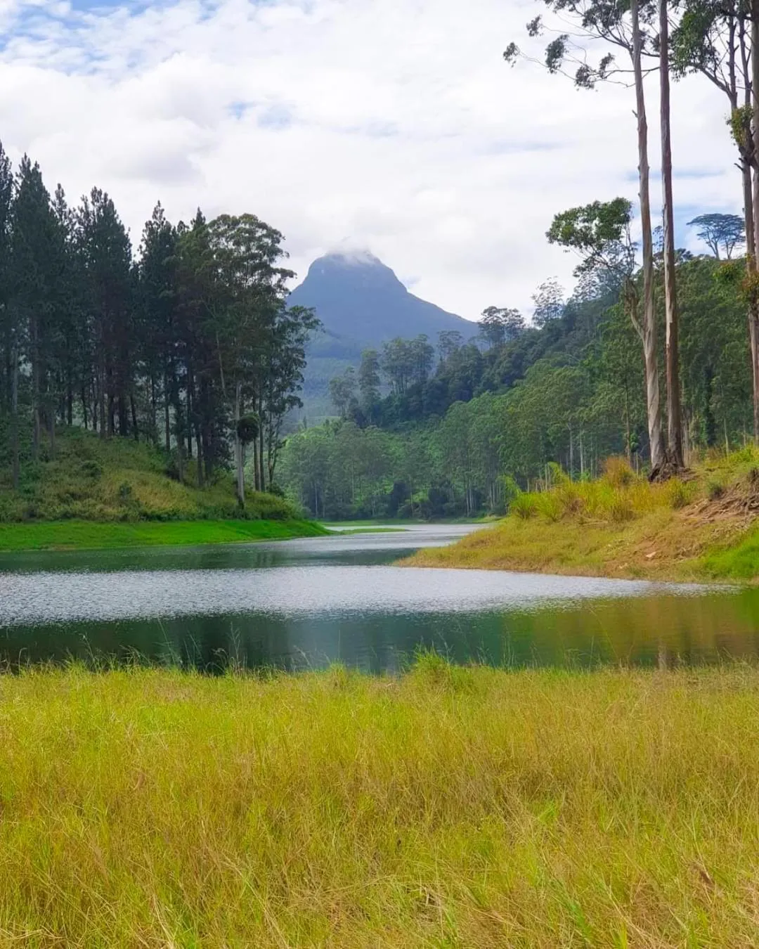 Natural landscape in Daddy's Guest