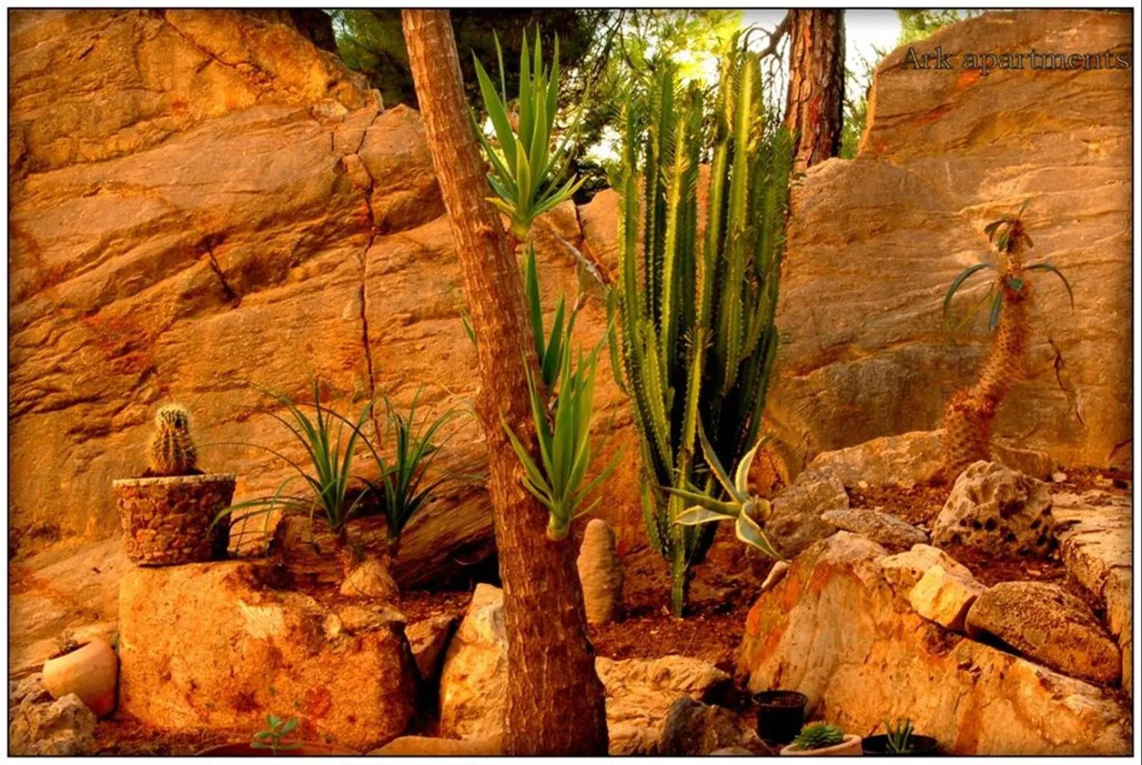 Garden in Ark Beach Apartments