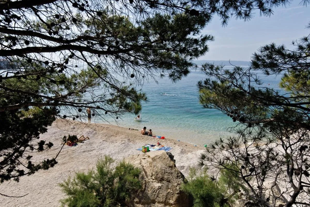 Beach in Ark Beach Apartments