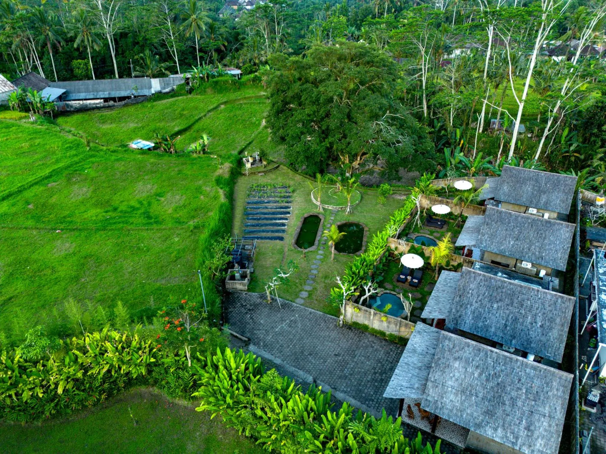 Property building in Tiare Villa Ubud by Dhananjaya Hospitality