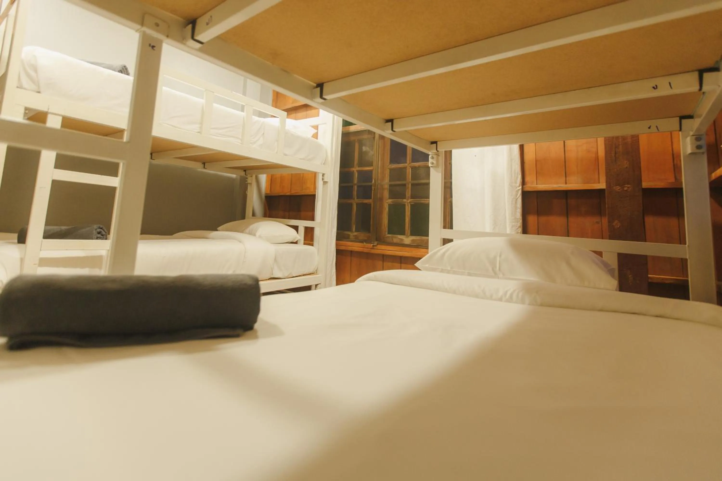 Bed in Agga CNX Hostel