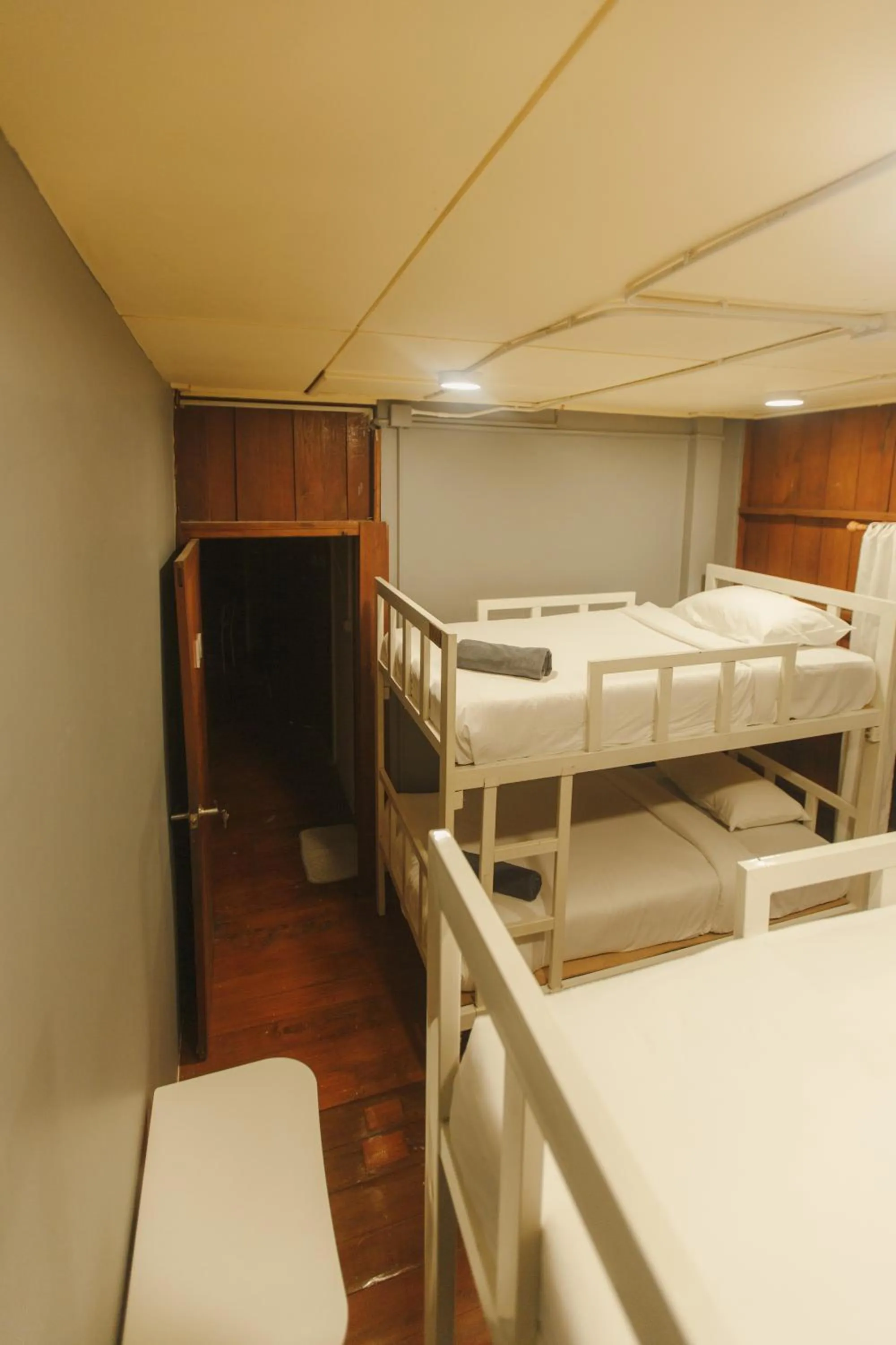 bunk bed, Bed in Agga CNX Hostel