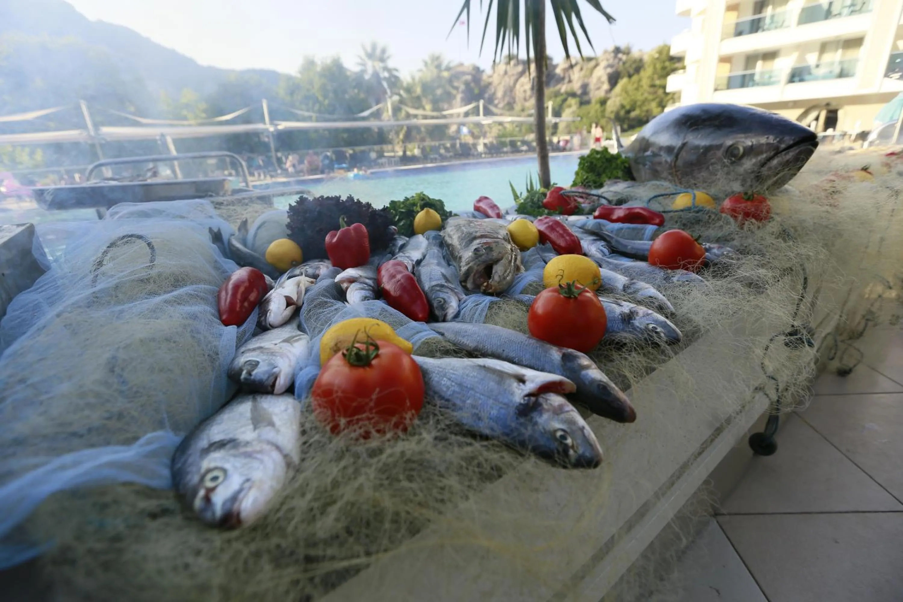 Restaurant/places to eat in Turunc Resort Hotel