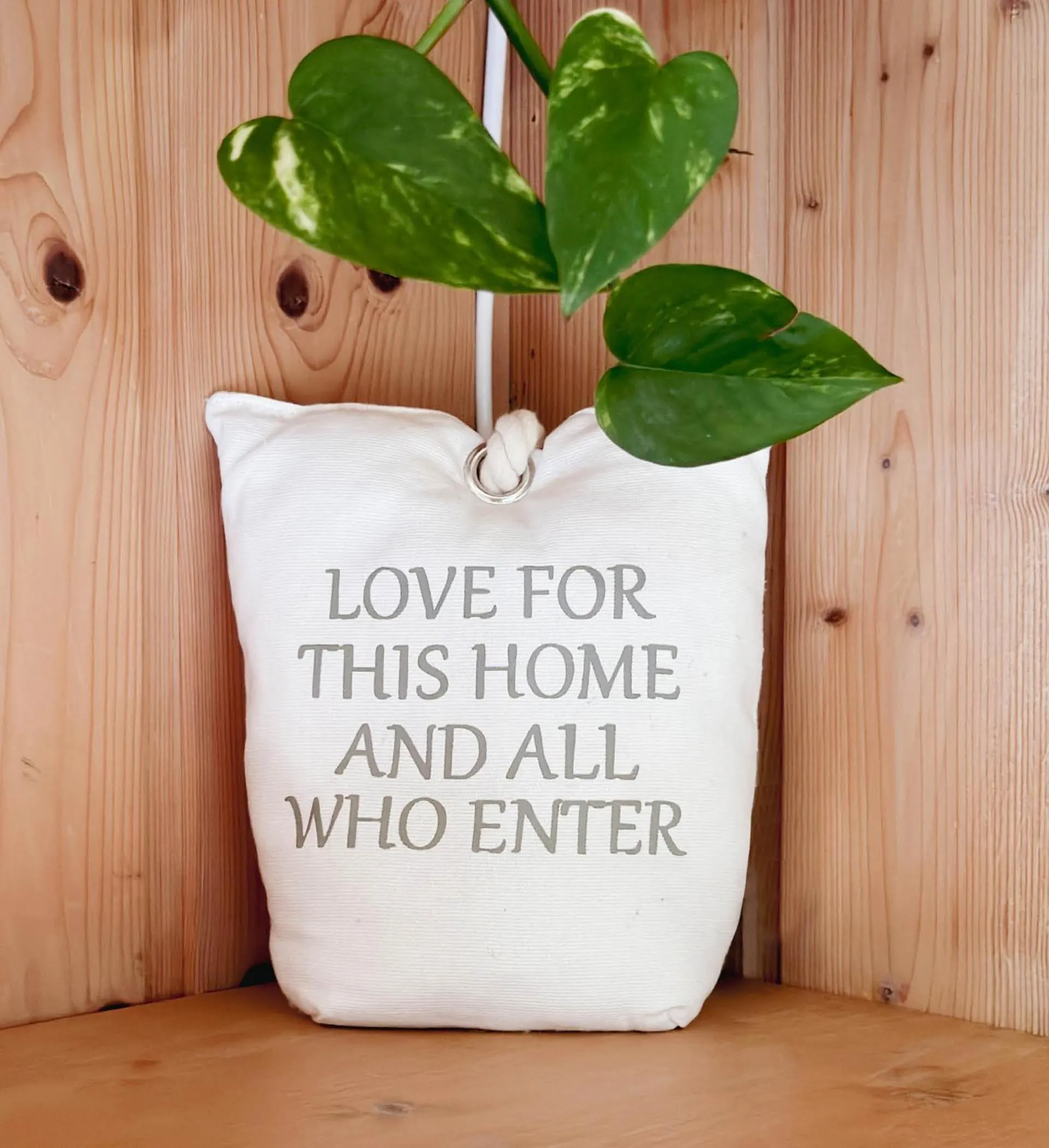 Photo of the whole room in s´Amagmach