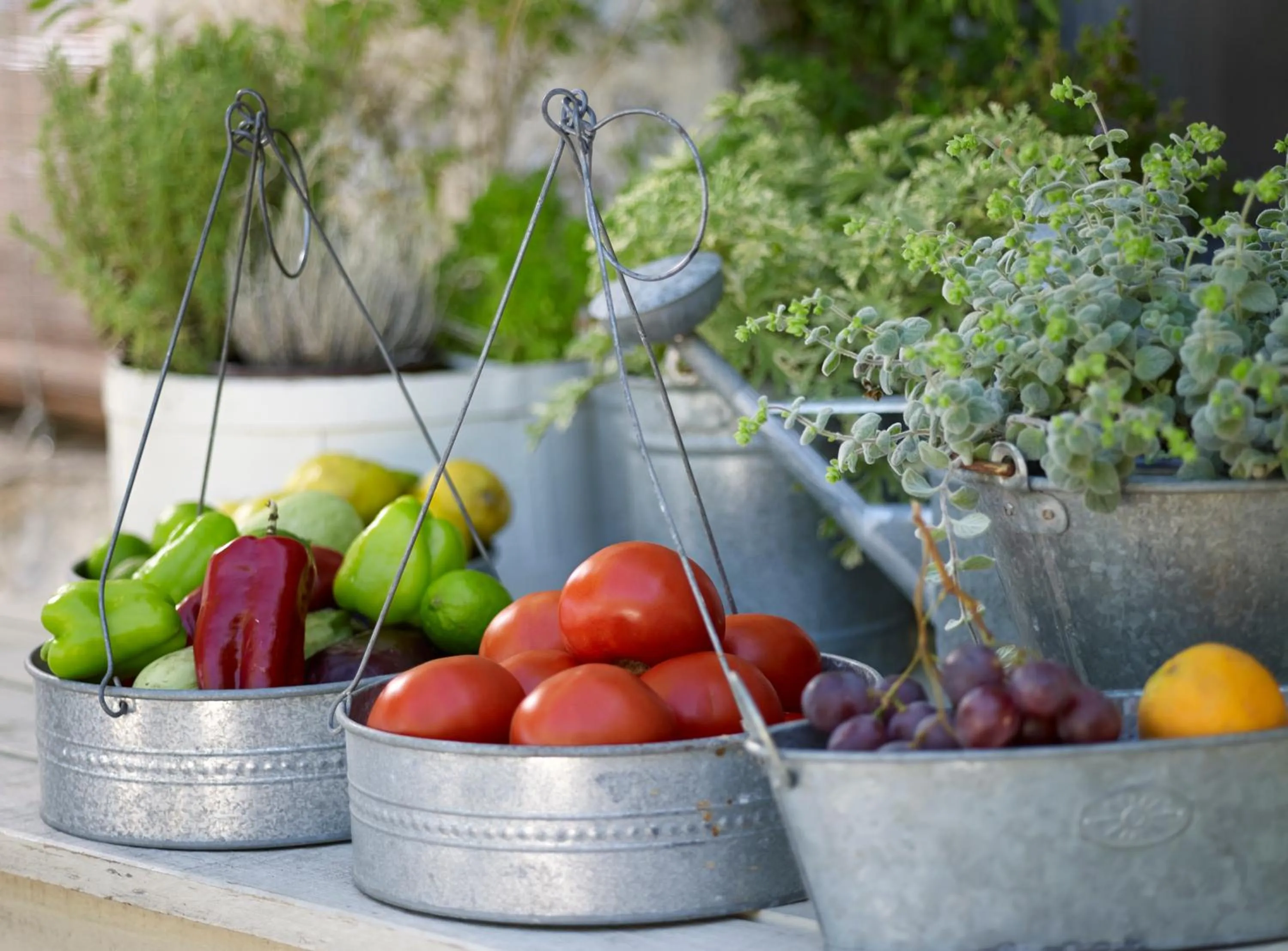 Restaurant/places to eat in Atrium Hotel