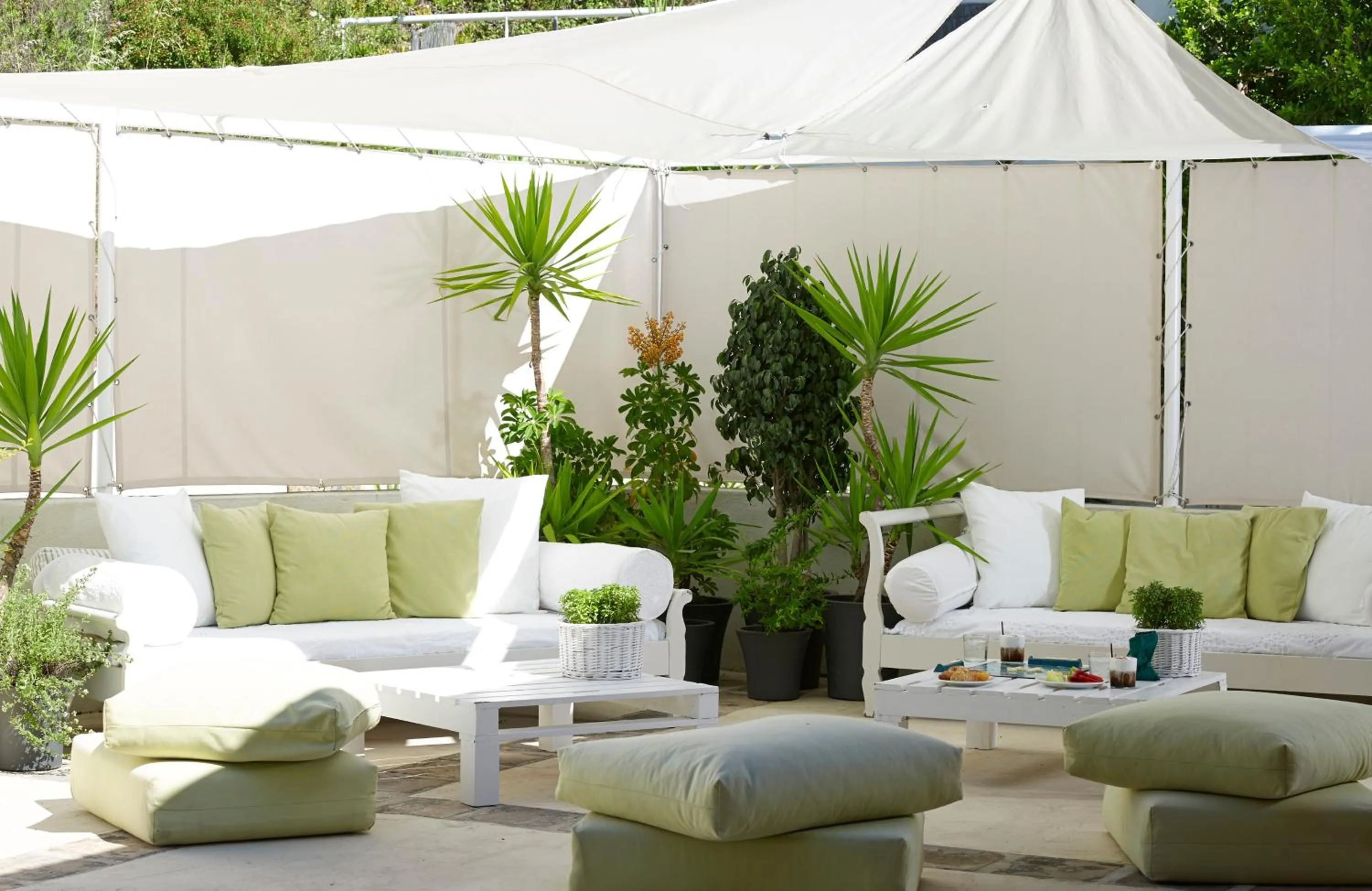 Garden in Atrium Hotel