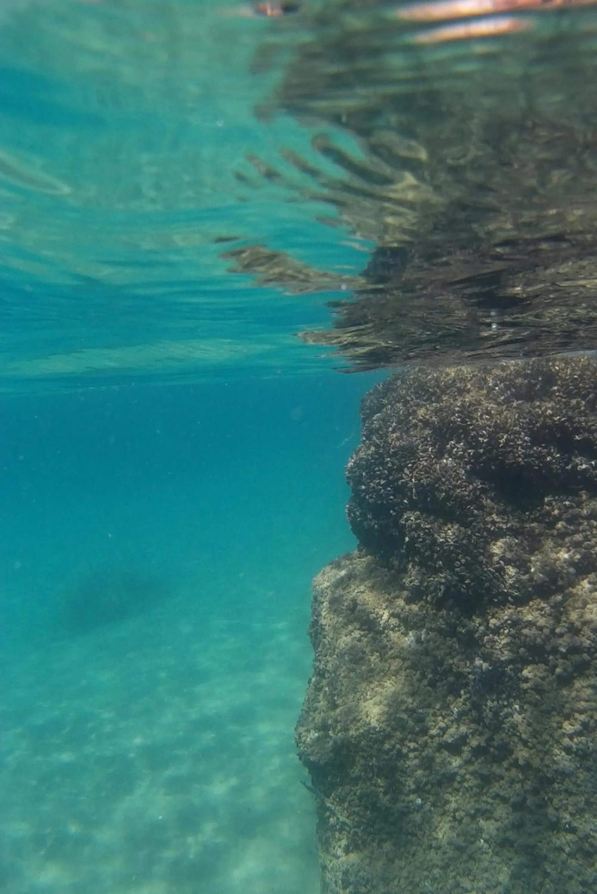 Diving in Grazia Hotel