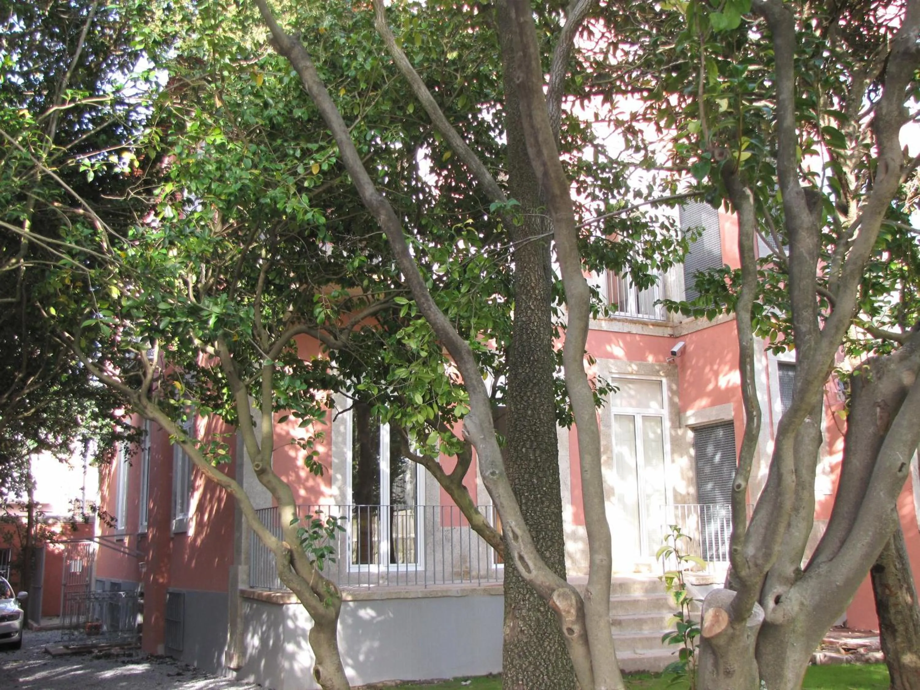 Garden in Koolhouse Porto