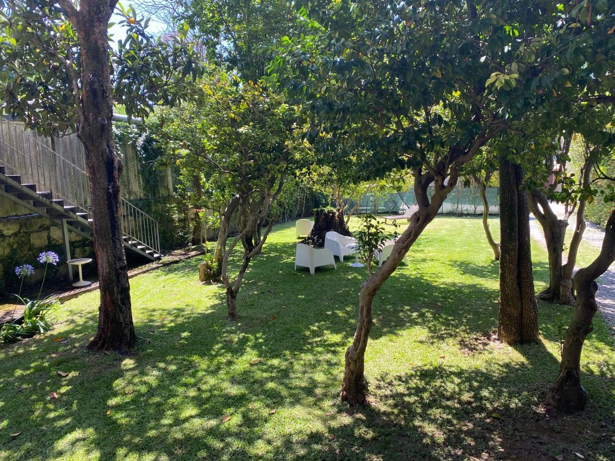 Garden view in Koolhouse Porto