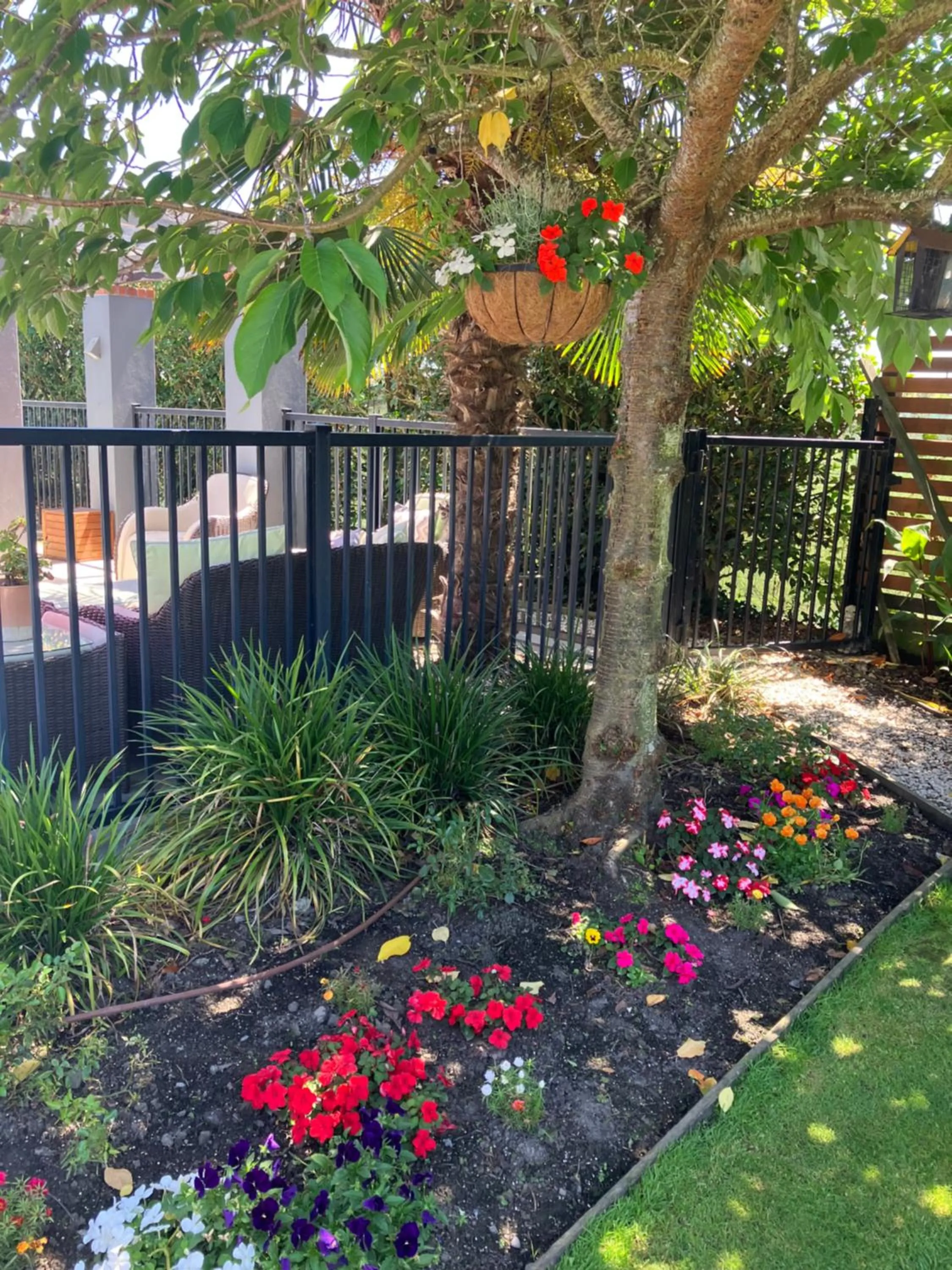 Garden in Maples on Harewood