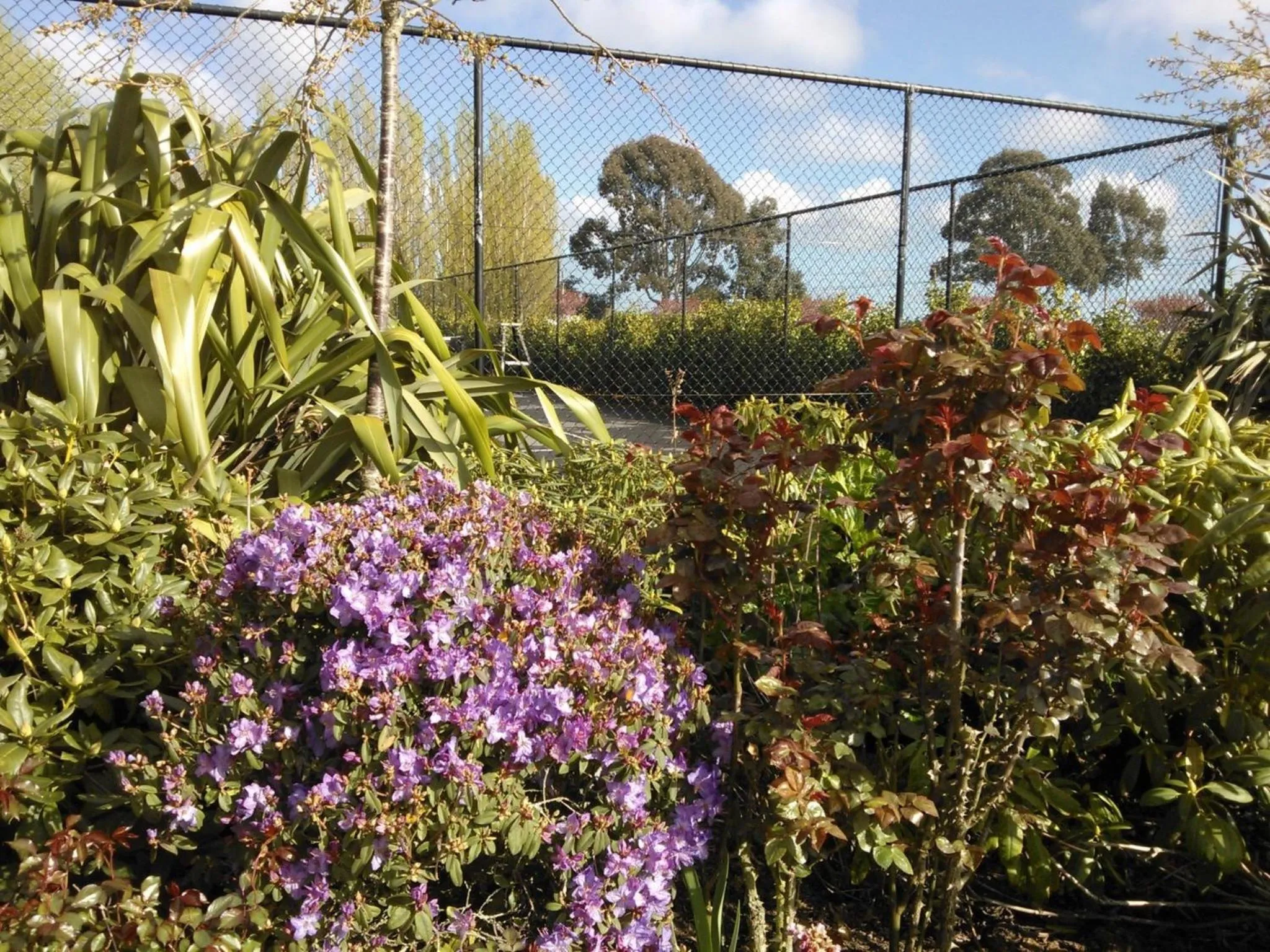 Garden view in Maples on Harewood