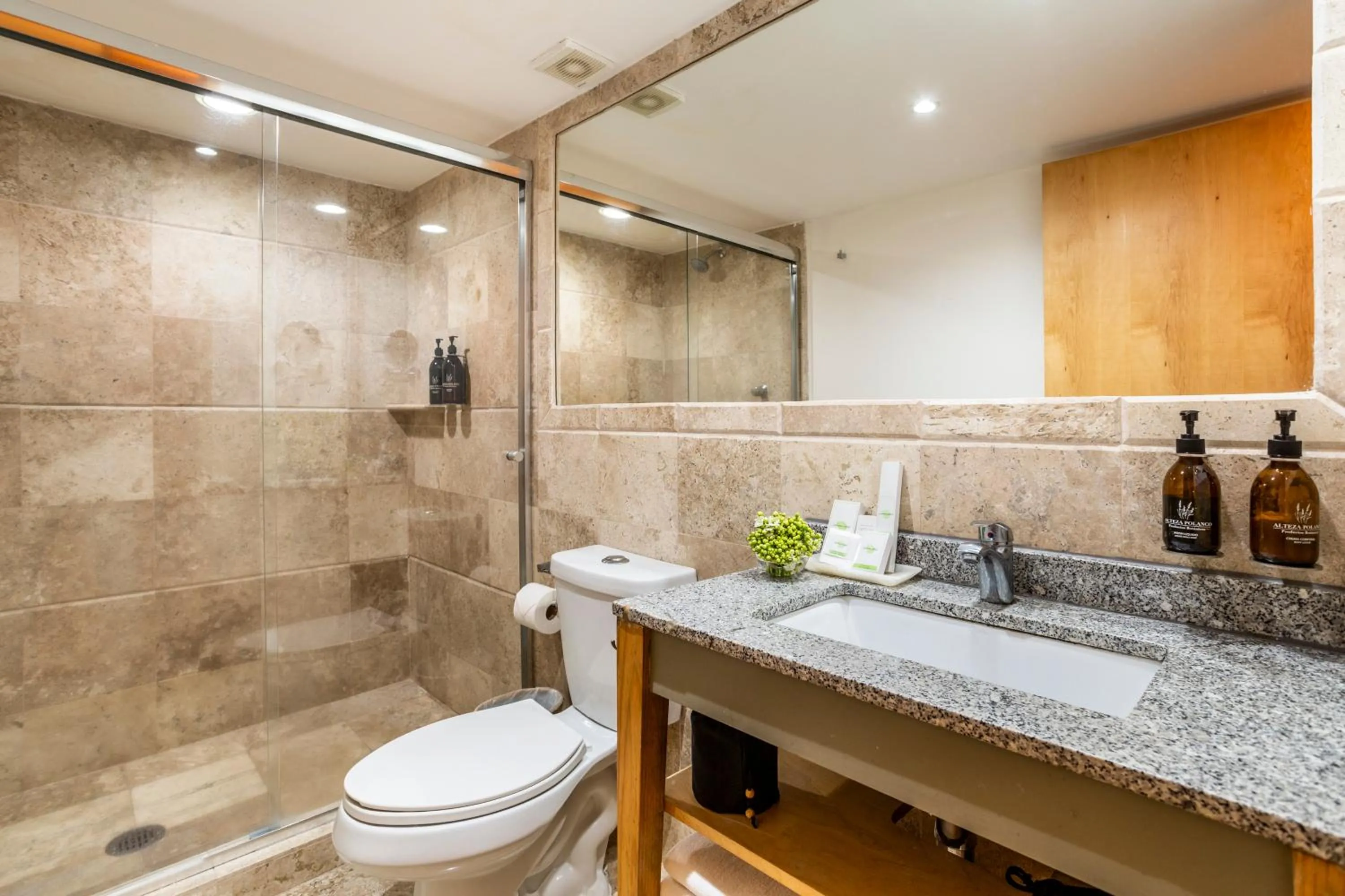 Shower in Alteza Polanco