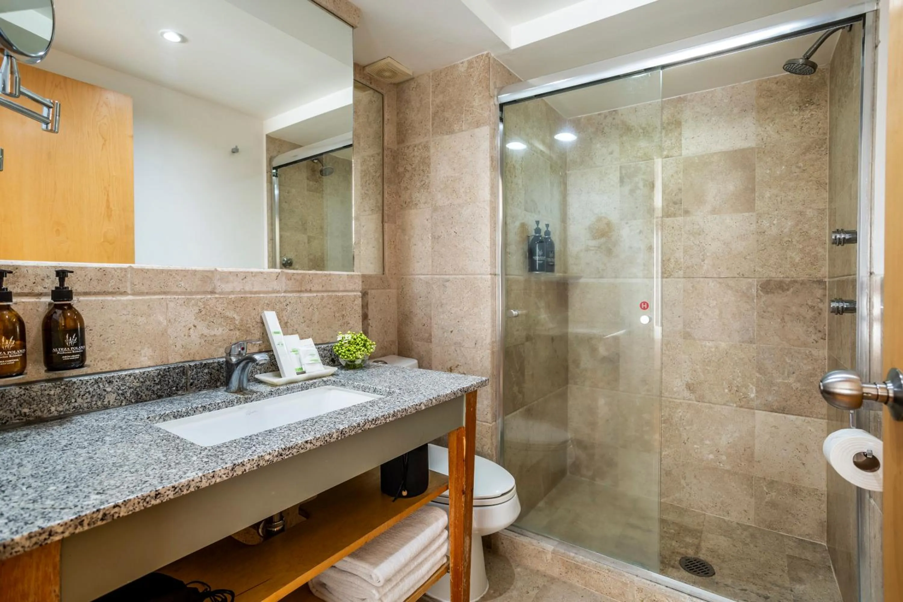 Bathroom in Alteza Polanco