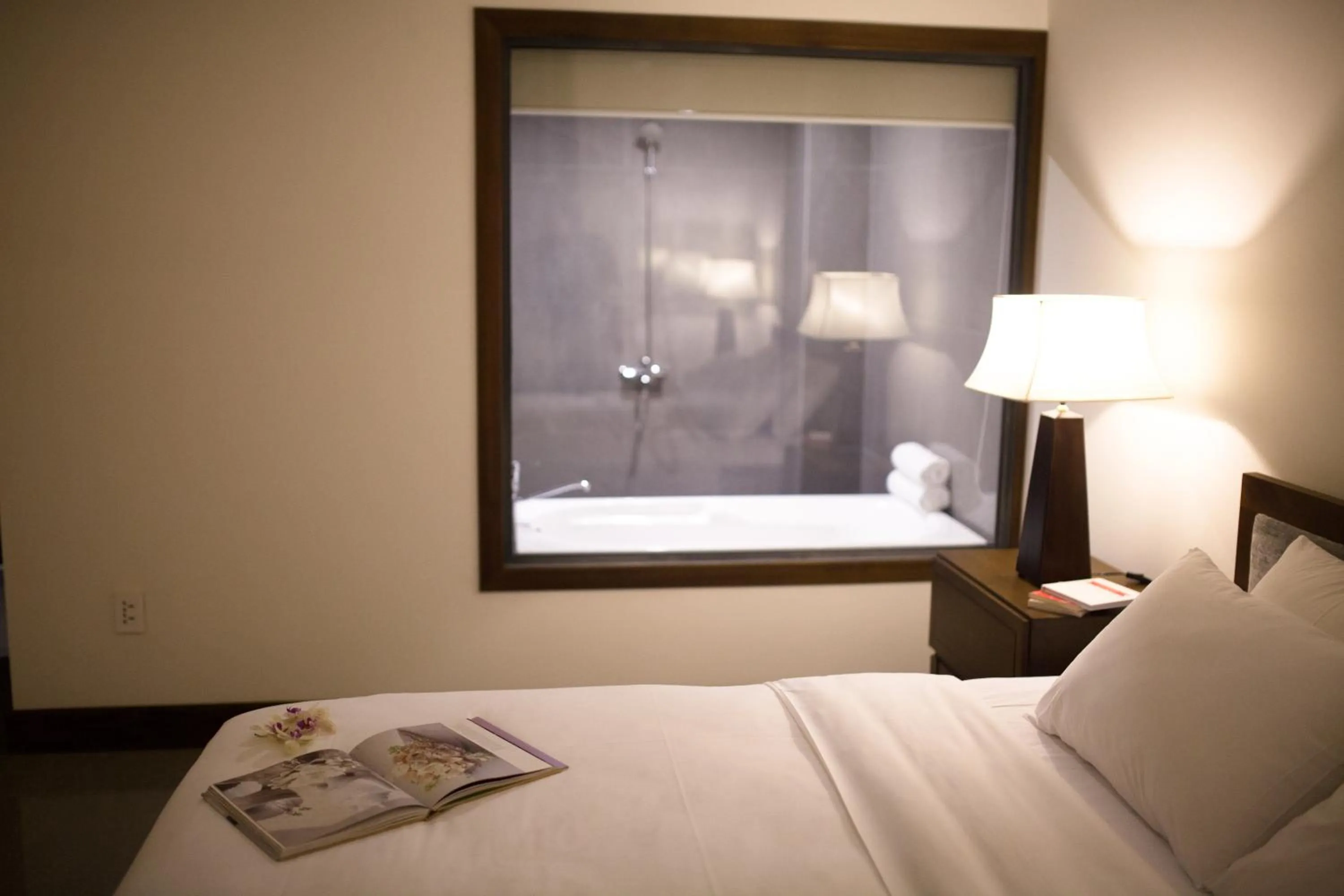 Photo of the whole room in Dan Oasis Hotel and Apartment