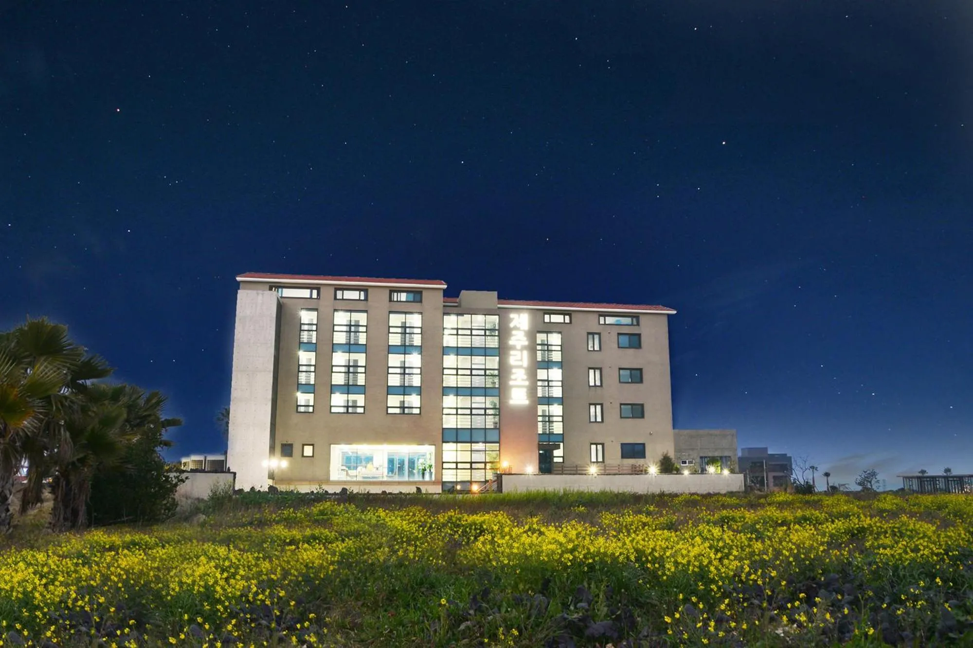 Night in Jeju Resort