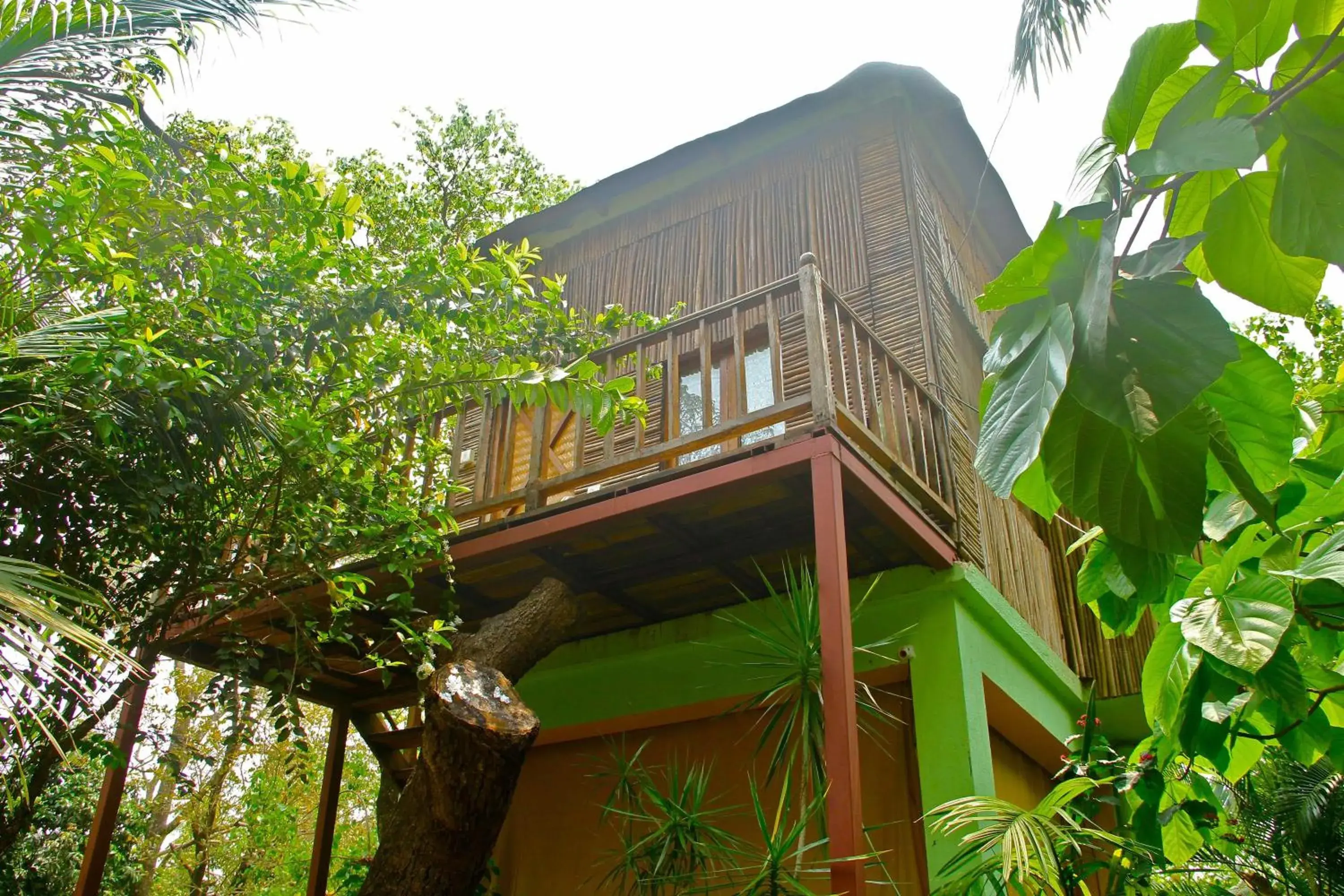 Bamboo Tree House in Michèle's Garden Bamboo Tree House in Michèle's Garden