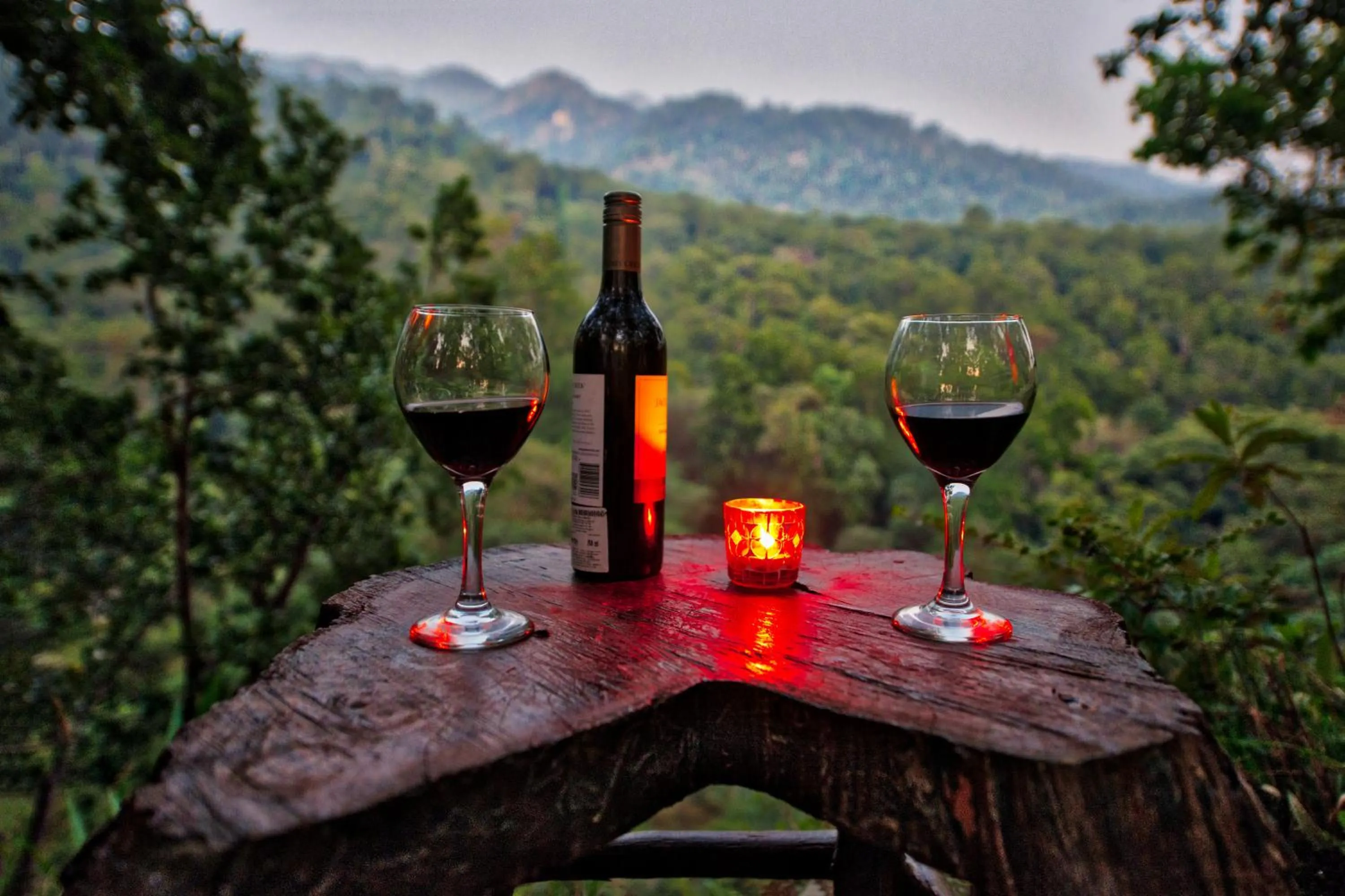 Natural landscape in Paatlidun Safari Lodge, Jim Corbett