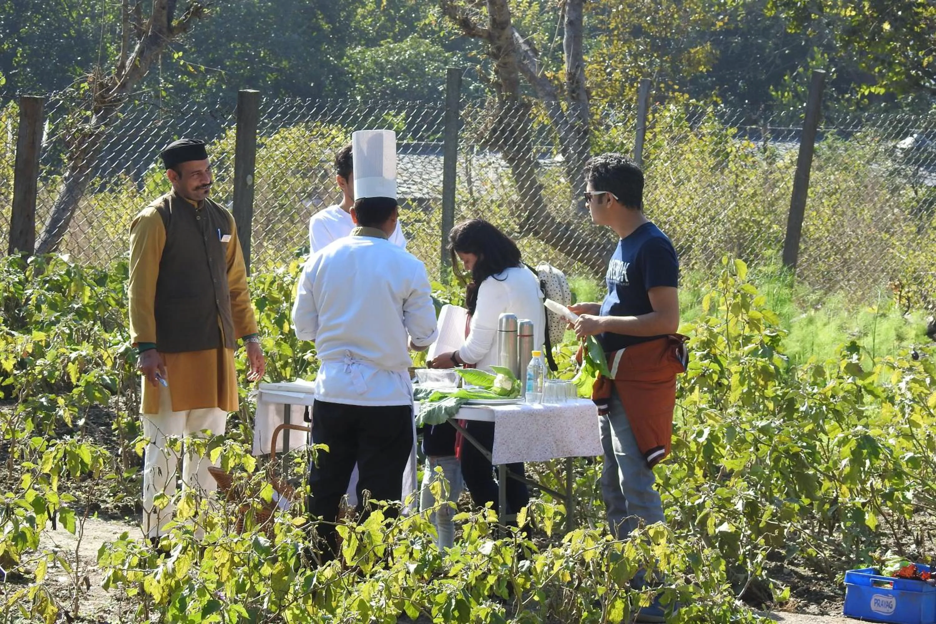 Food and drinks in Paatlidun Safari Lodge, Jim Corbett