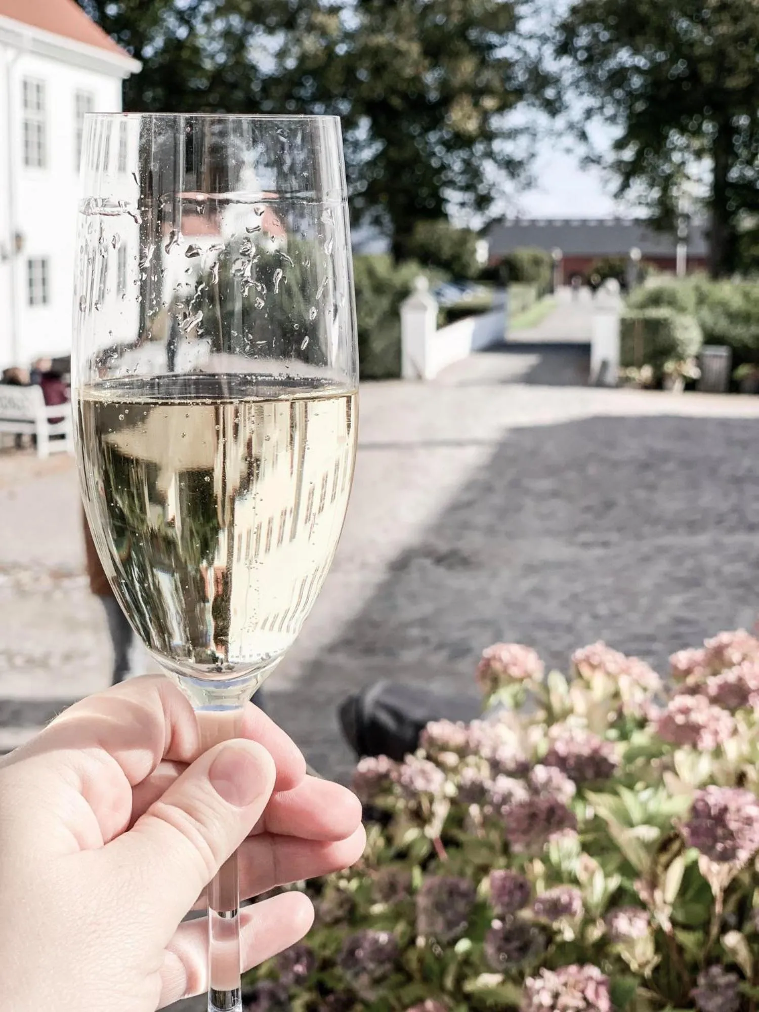 Lounge or bar in Kragerup Gods