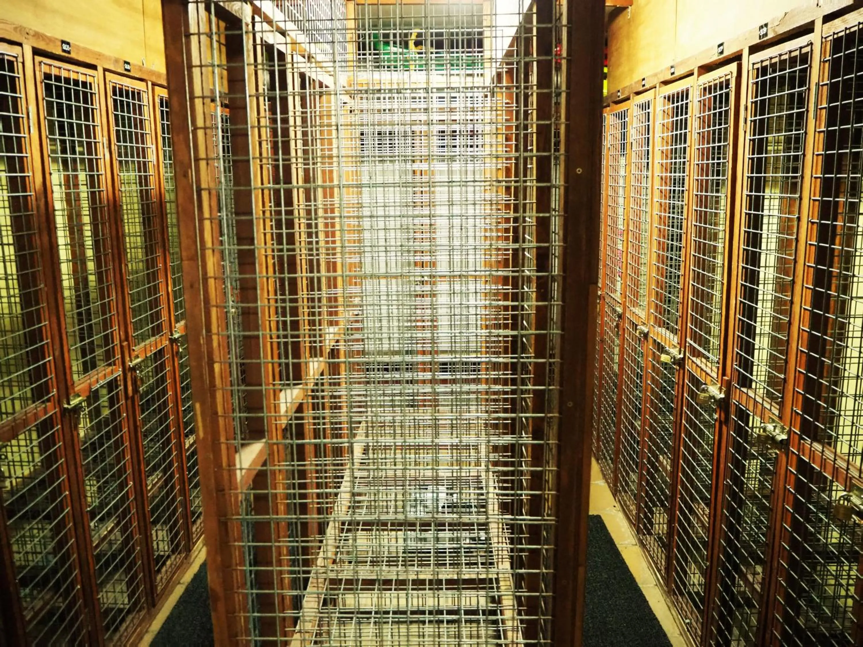 Area and facilities in Hotel Copacabana