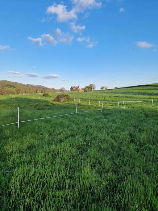 Natural landscape in Kenton Mill Farm