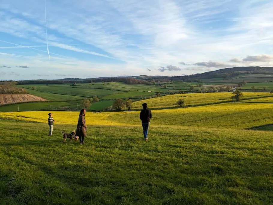 Natural landscape in Kenton Mill Farm