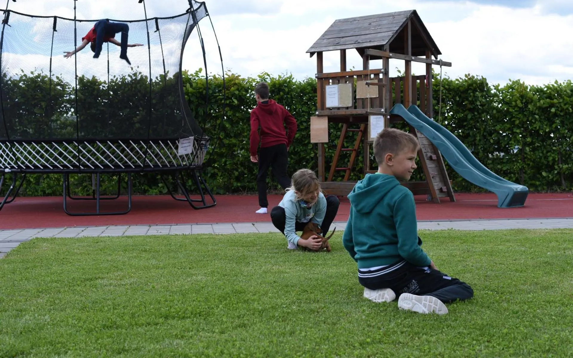 Hotel Harmony Medical & Wellness-Free Parking, 1,8km from the center