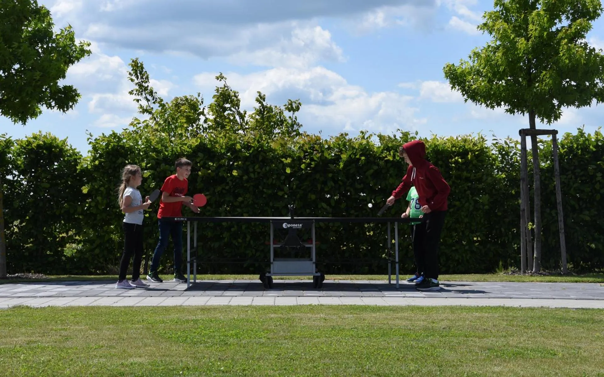 Hotel Harmony Medical & Wellness-Free Parking, 1,8km from the center