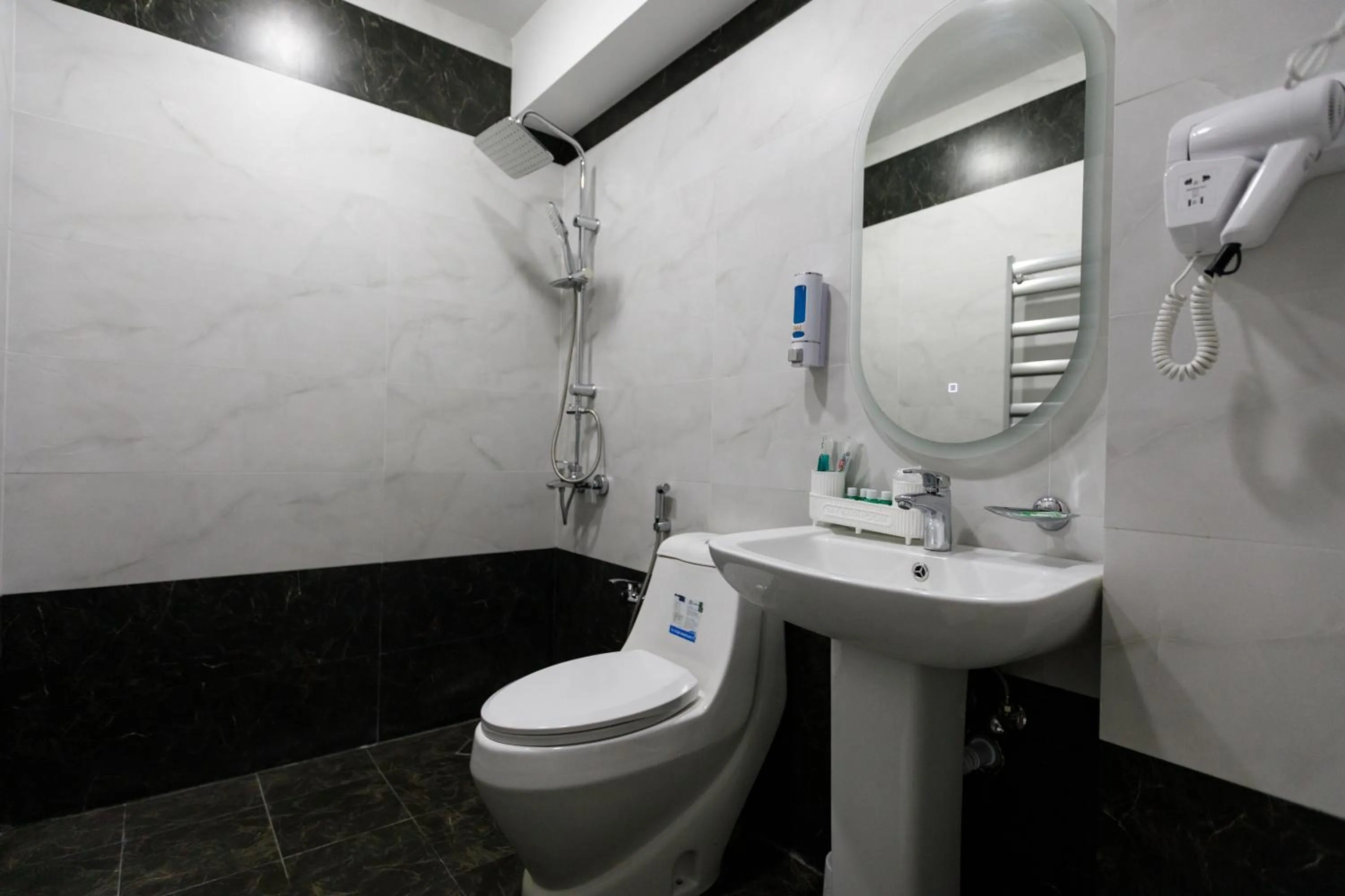 Toilet in Royal Meridien Hotel