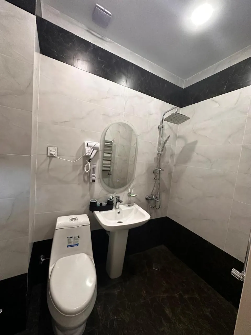 Shower in Royal Meridien Hotel