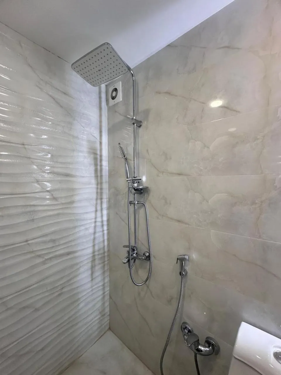 Shower in Royal Meridien Hotel