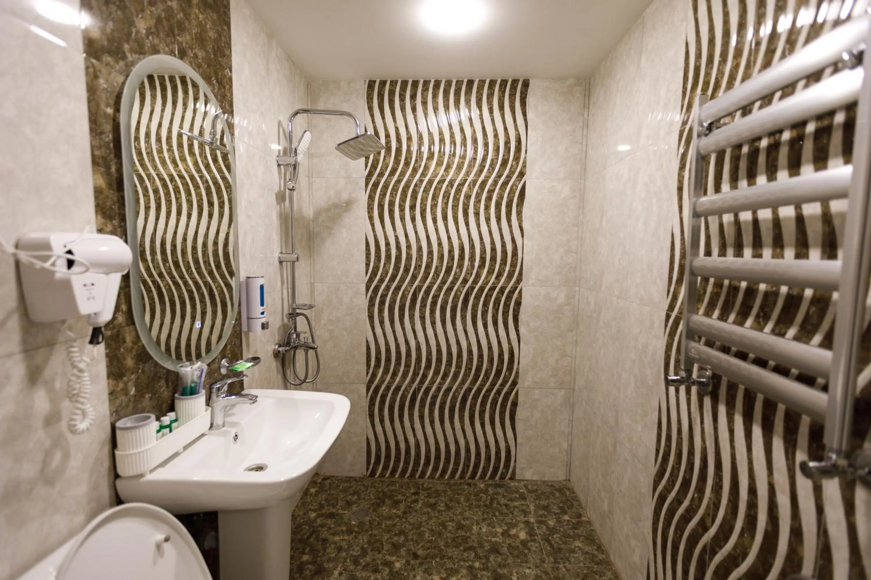 Shower in Royal Meridien Hotel