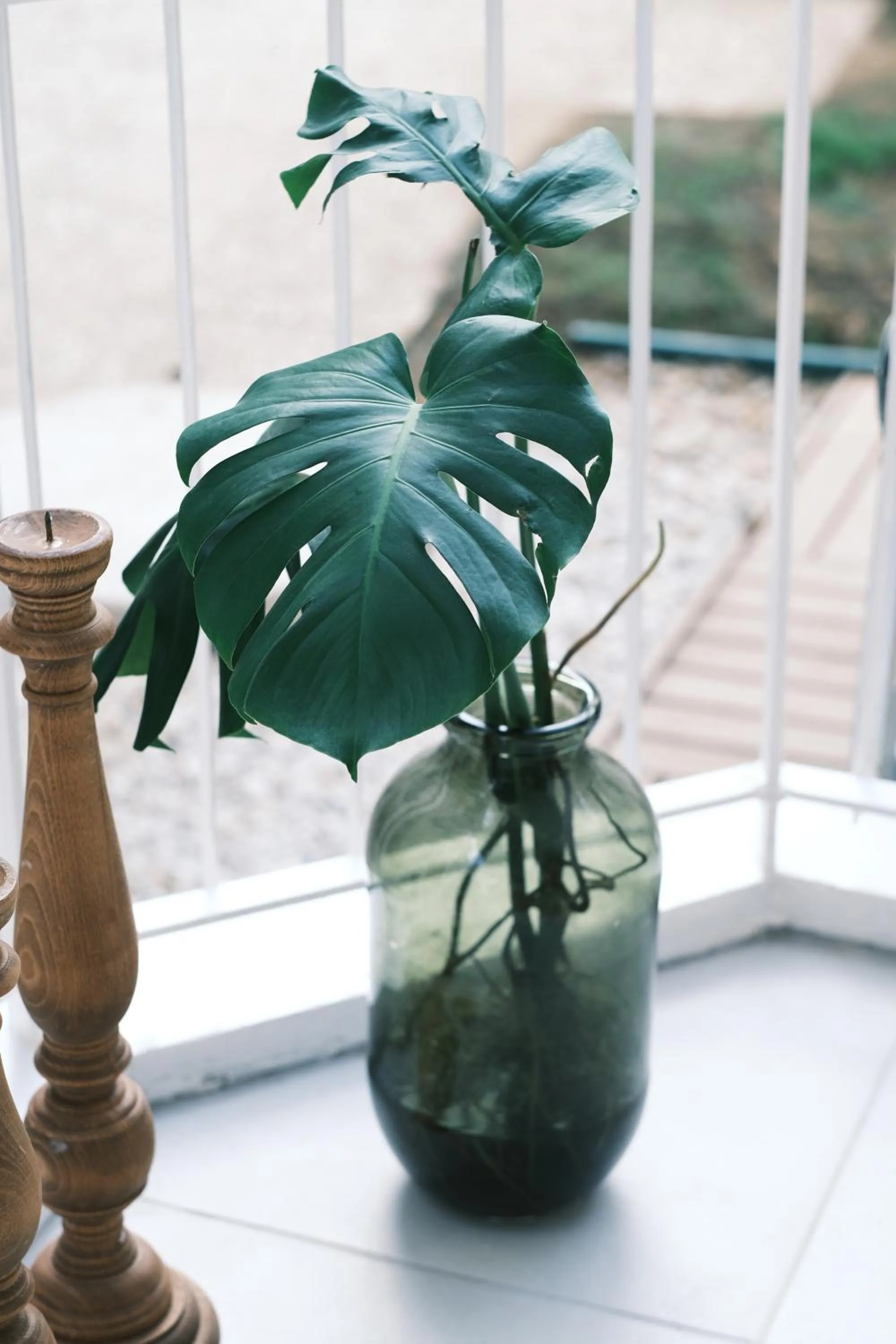 Patio in Nephos Beach Hotel